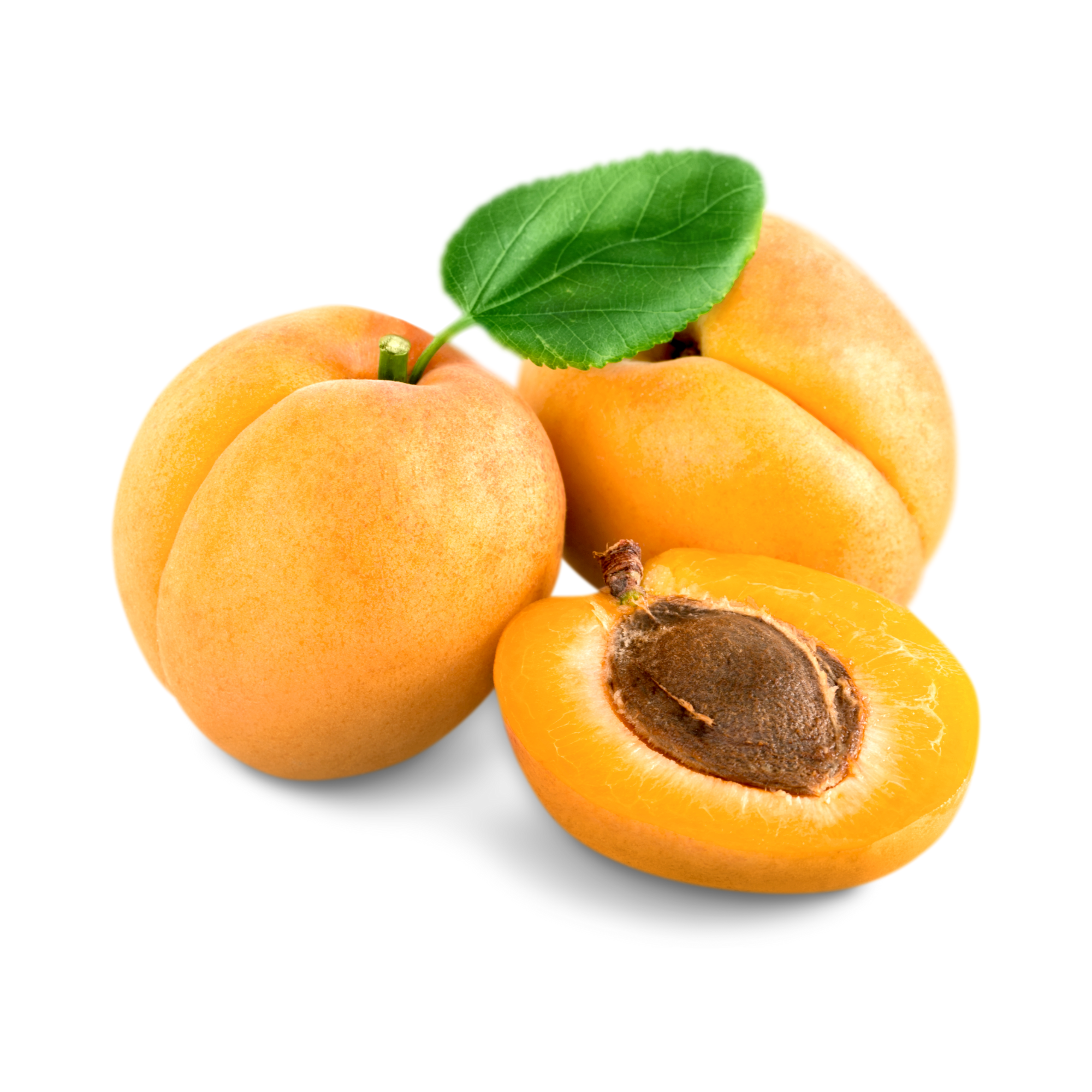 ApricotConcentrate_SSA_SUPA