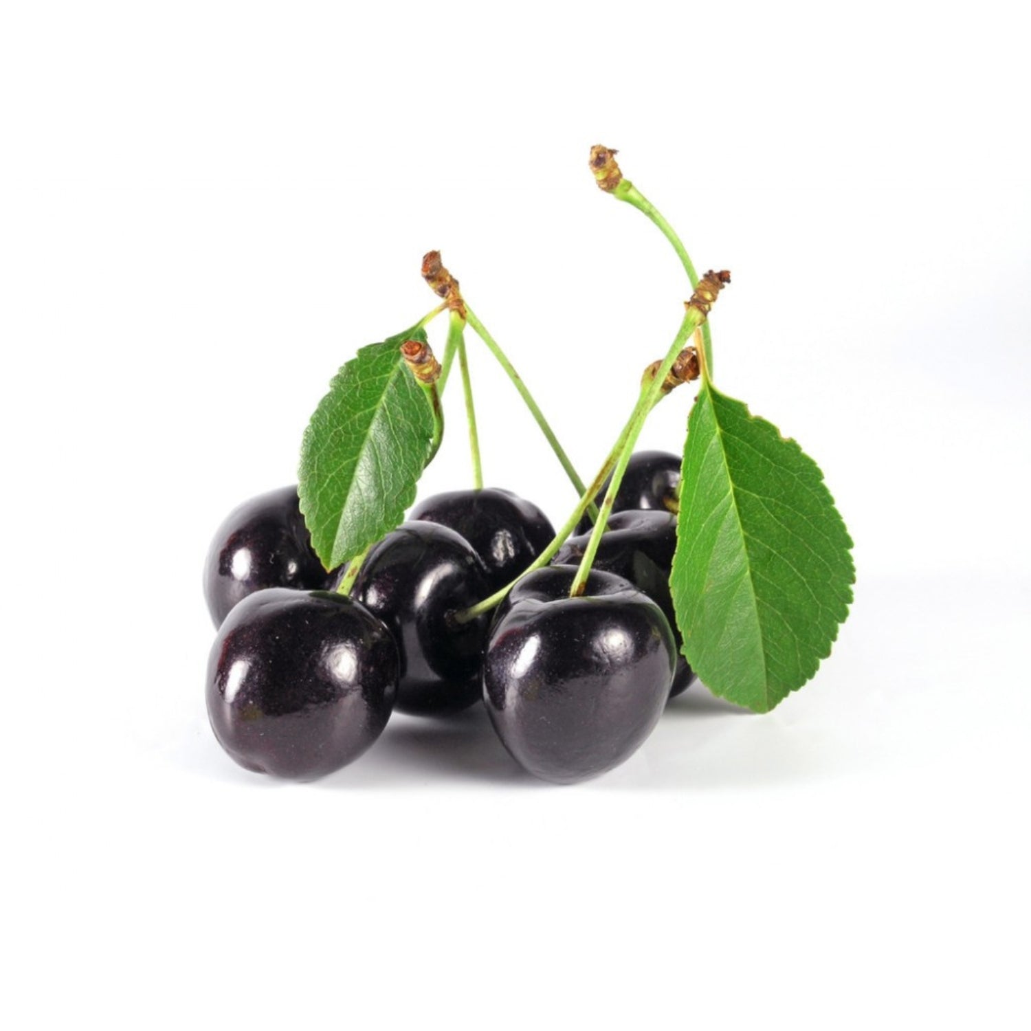 fresh black cherries