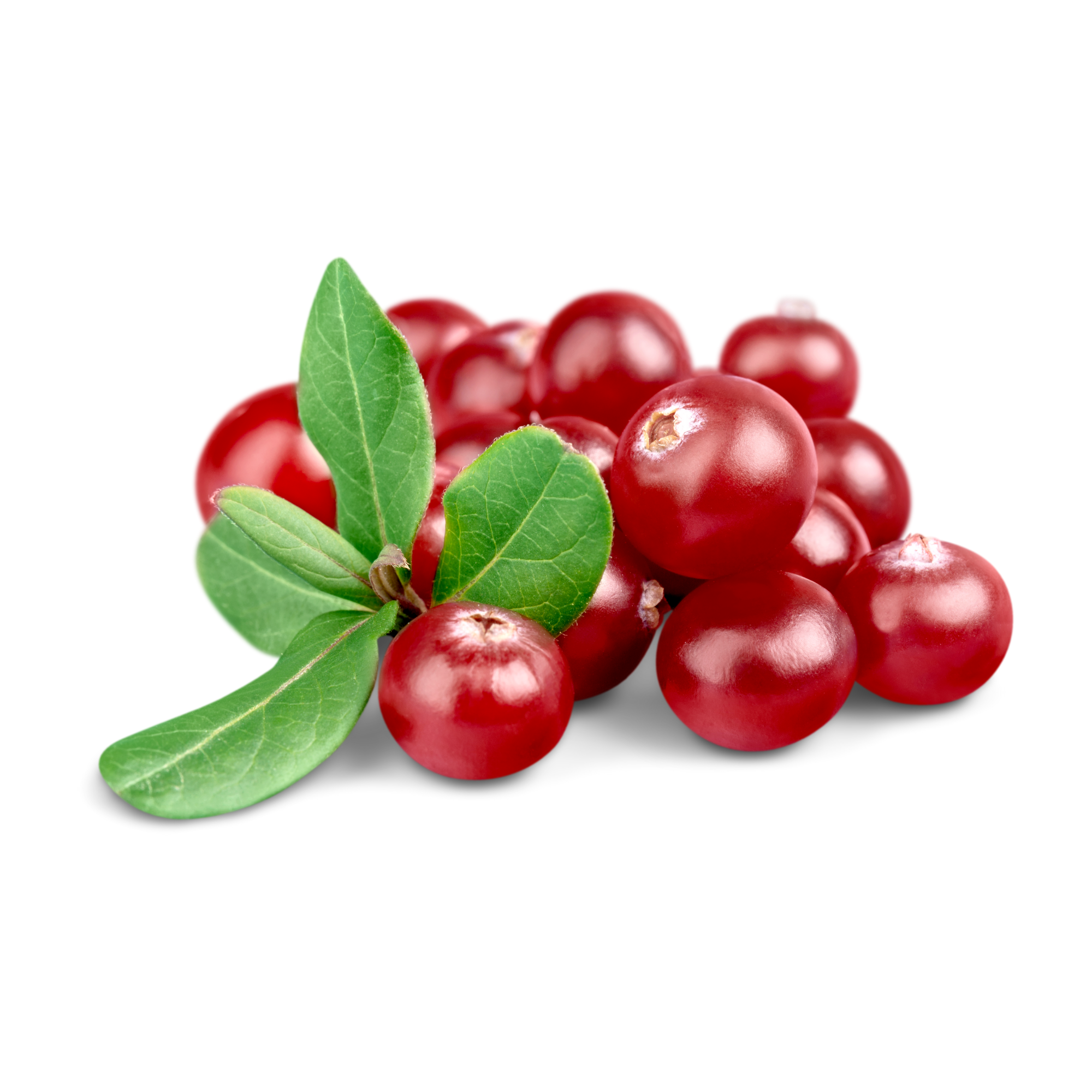 Cranberry Concentrate** (CAP)