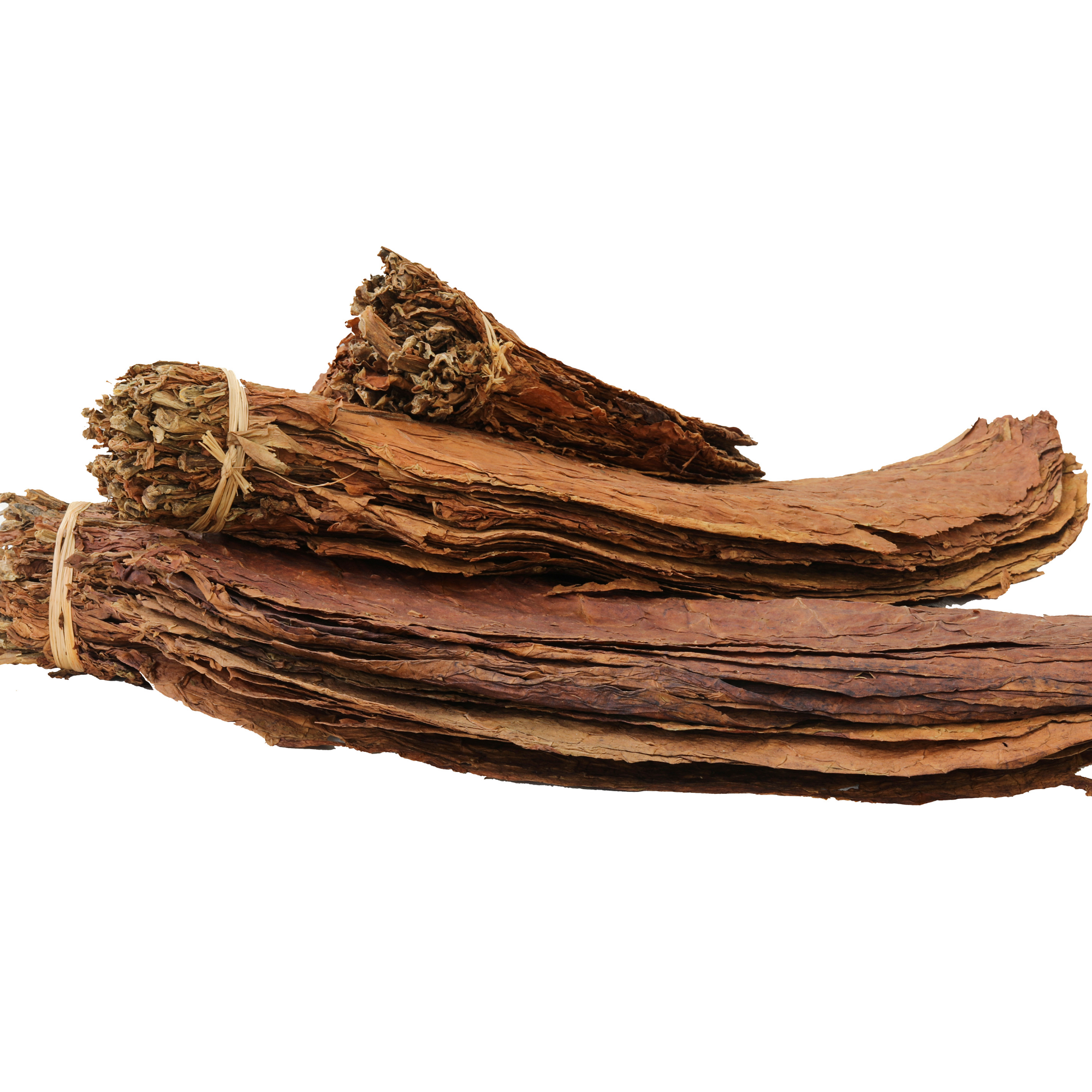 health insurance tobacco use Tobacco Surcharges: how they actually work