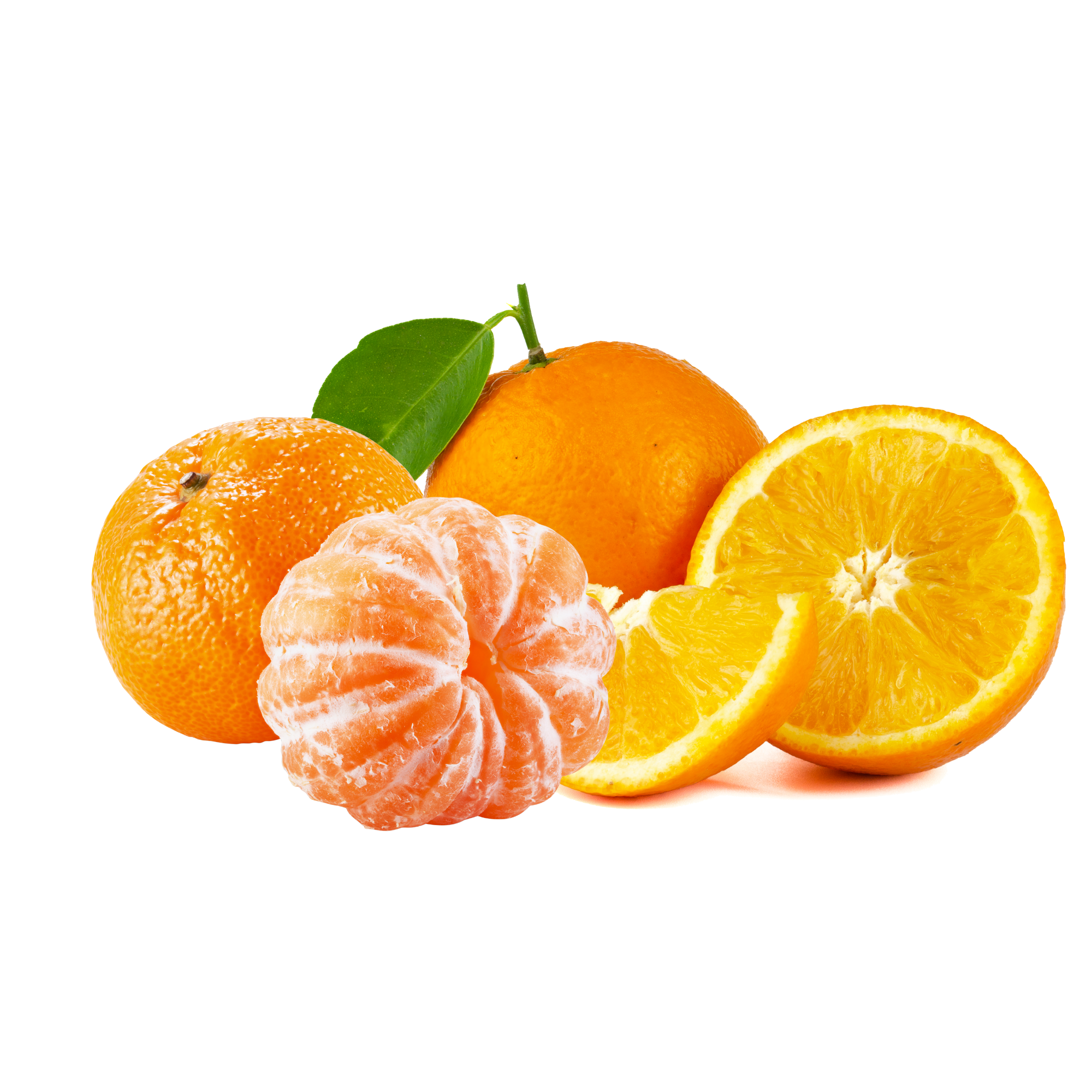 Ecto Cooler Concentrate (FW)