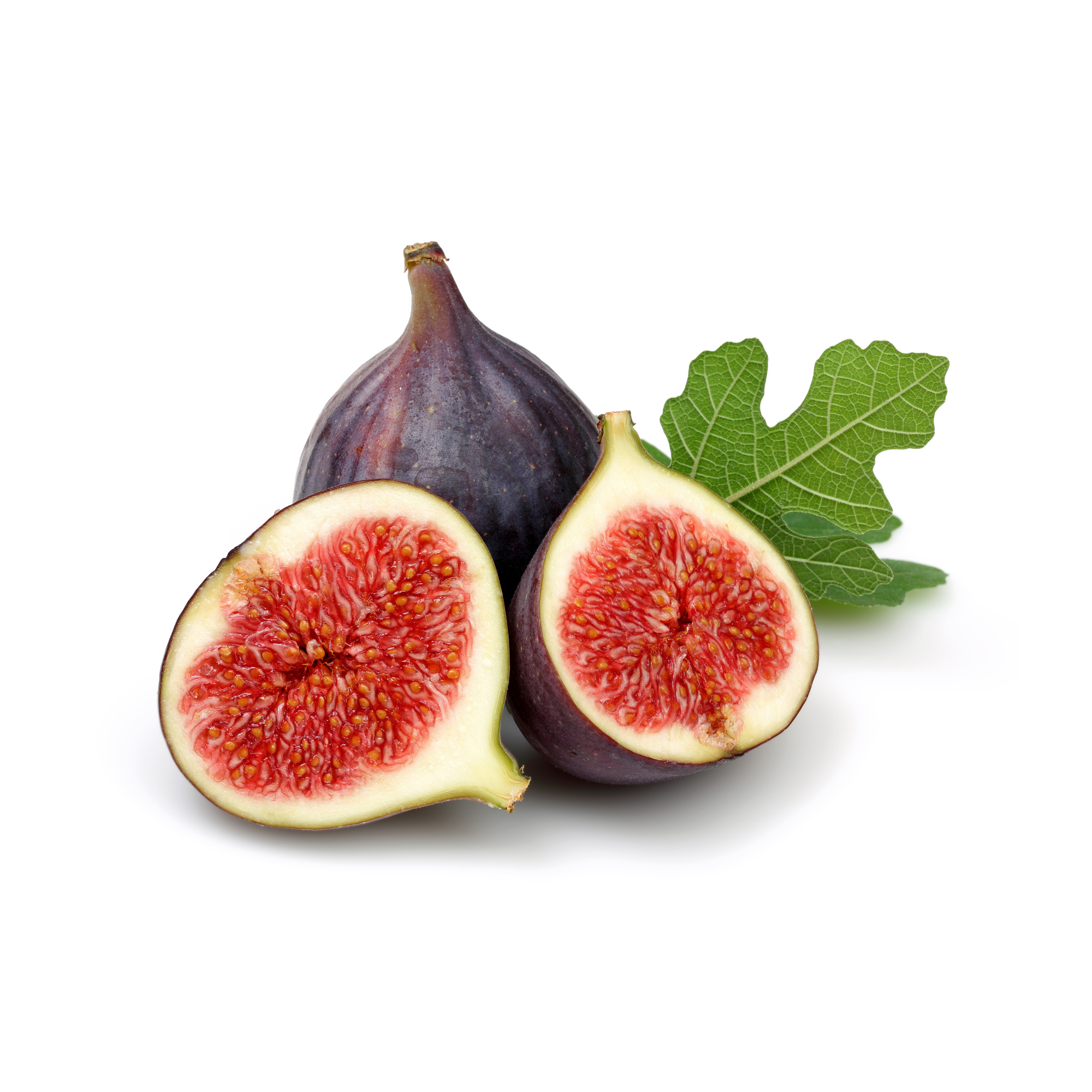 Fresh Fig Concentrate (FA)