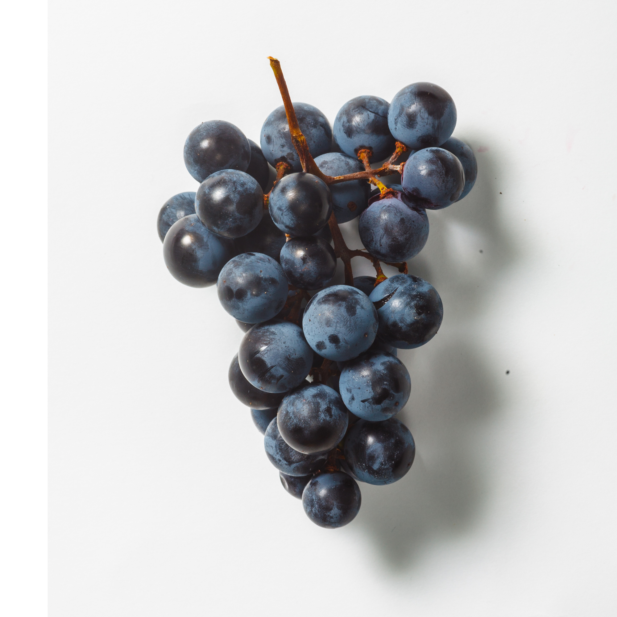 Grape Concord w/Stevia Concentrate (CAP)