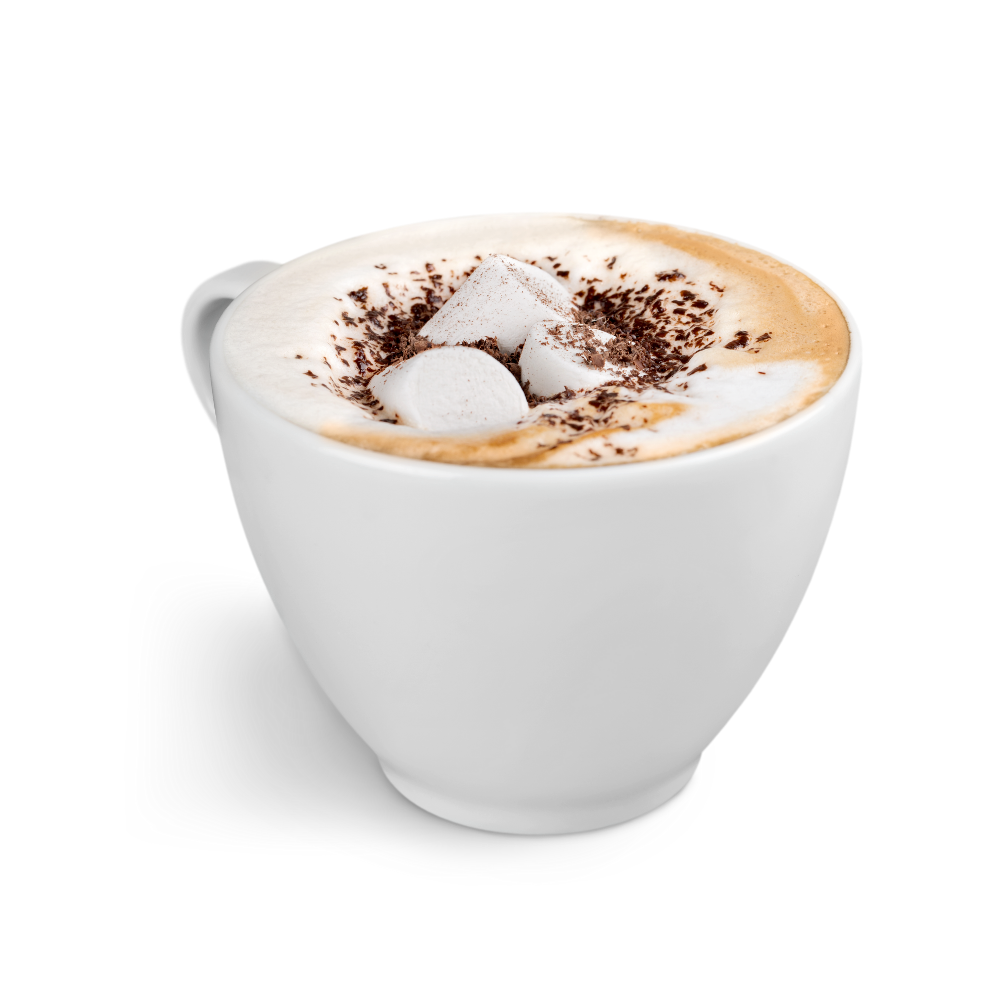 Hot Cocoa Concentrate (CAP)