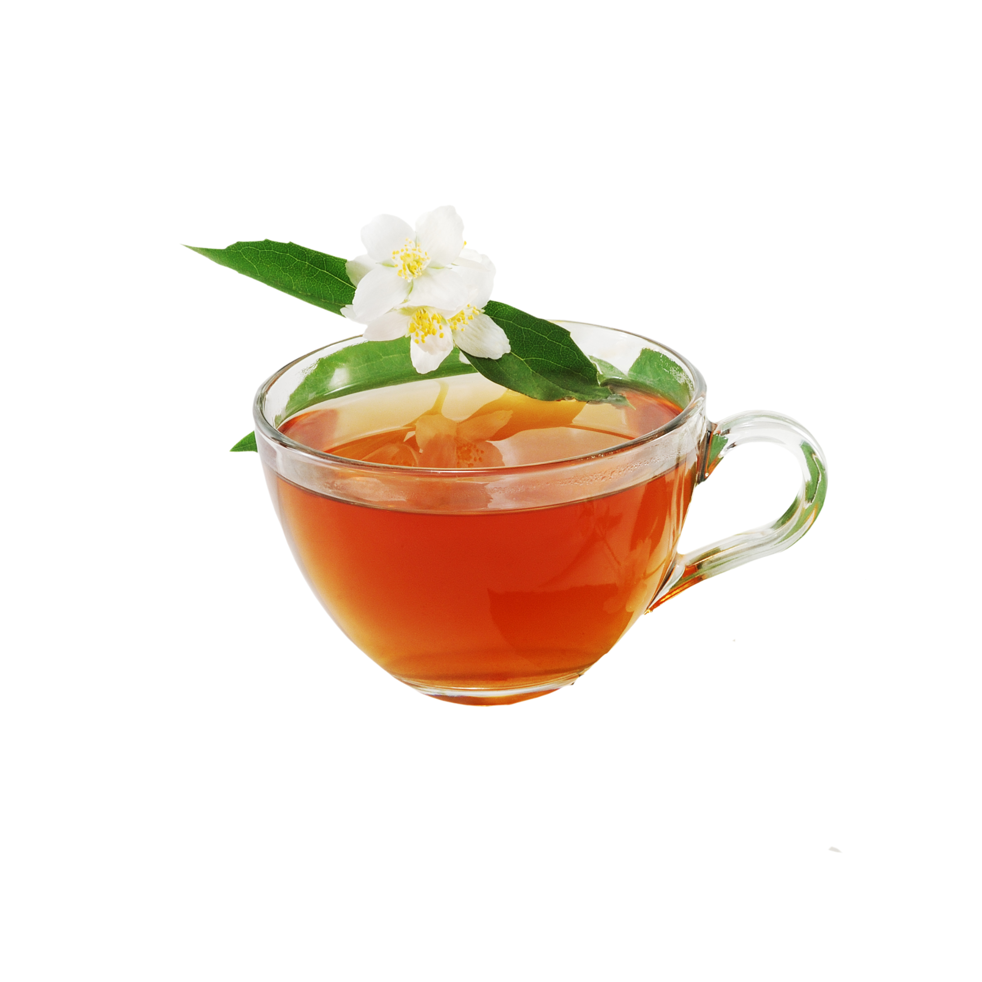 Jasmine Tea Concentrate (RAW)