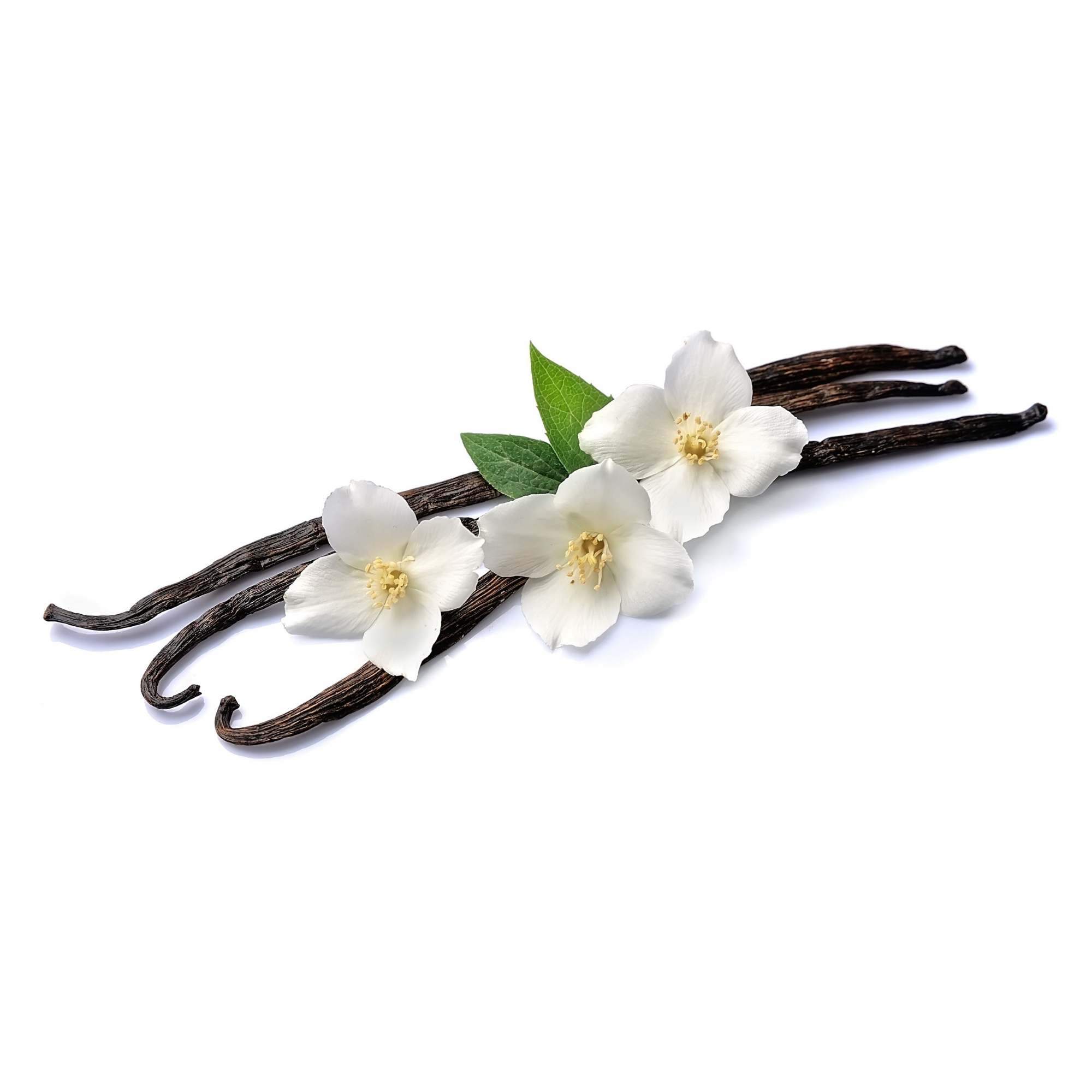Madagascar Vanilla (Classic) (FA)