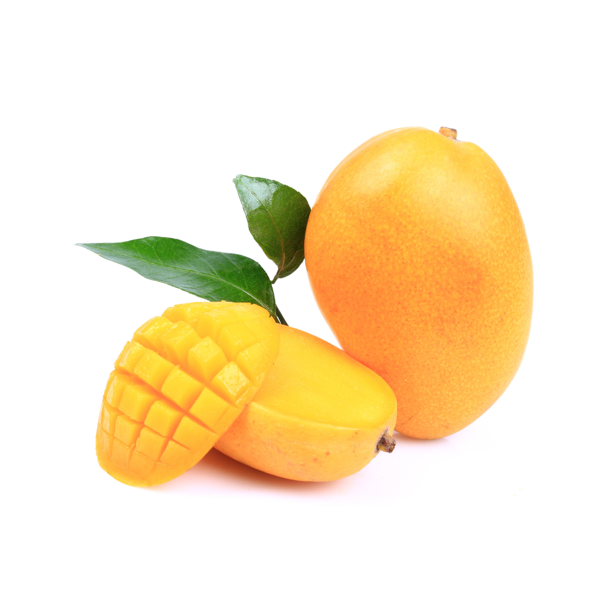 Mango Concentrate (HS)