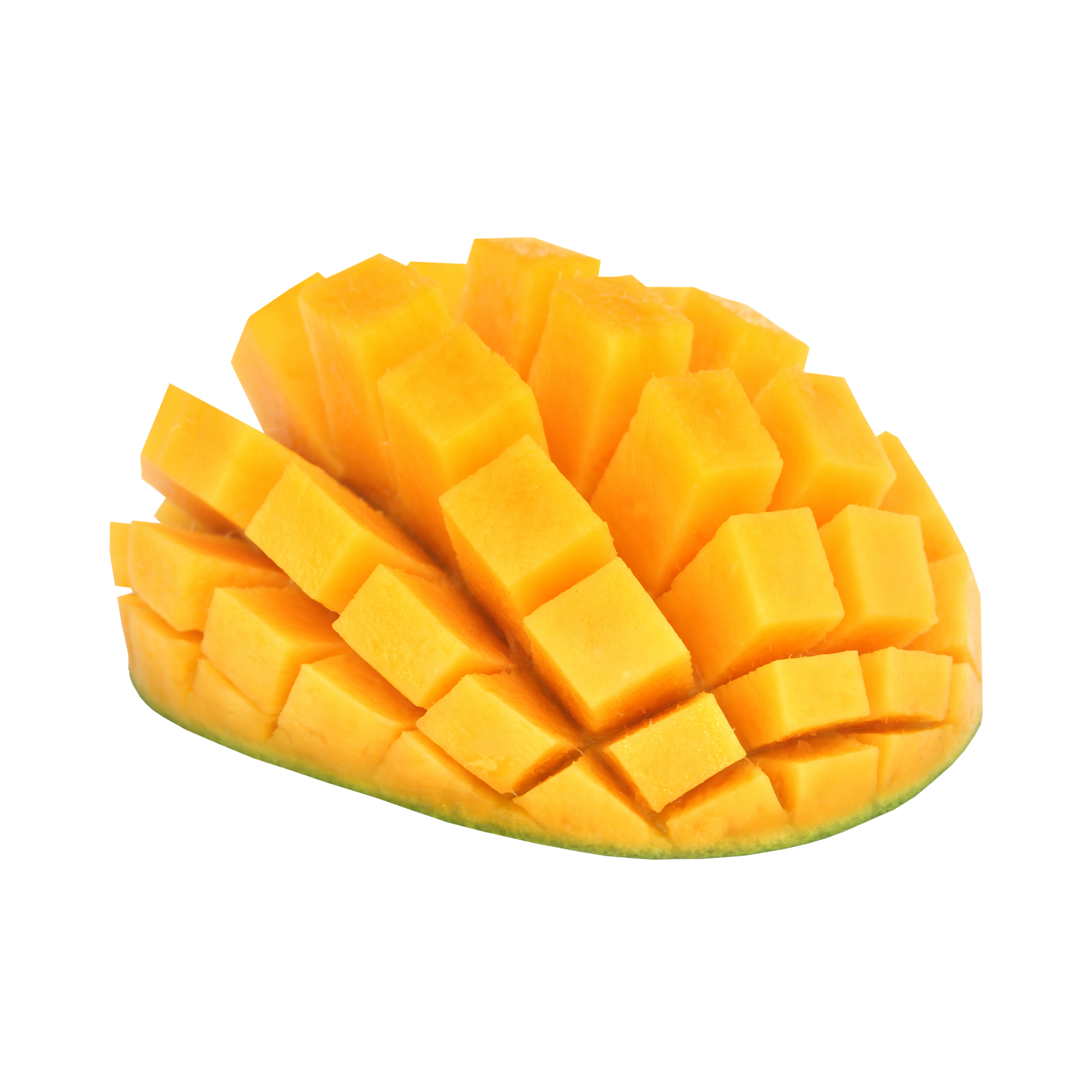 Mango Juicy Concentrate (REKA)