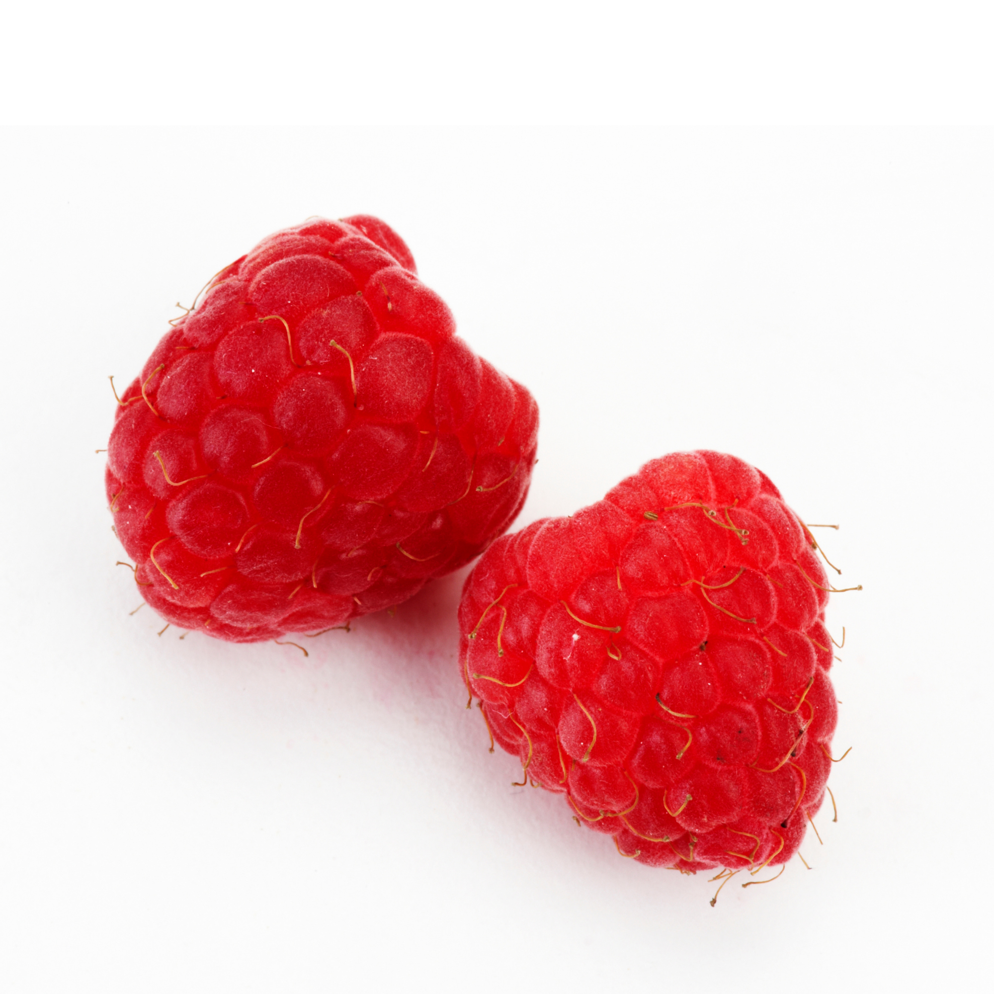 Pink Raspberry (MB)