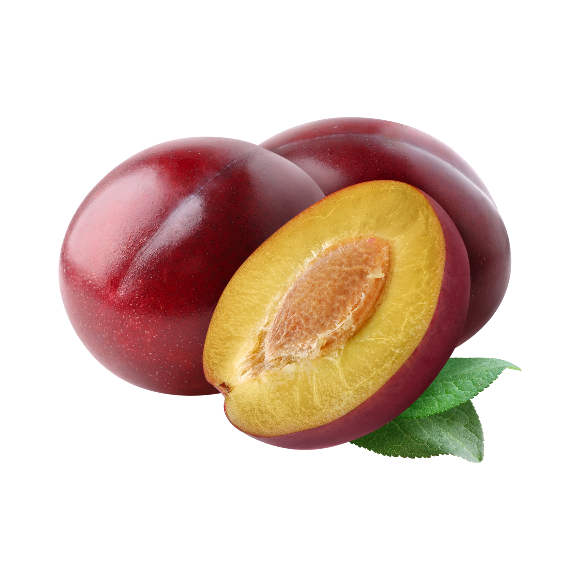 Plum Concentrate (TFA)