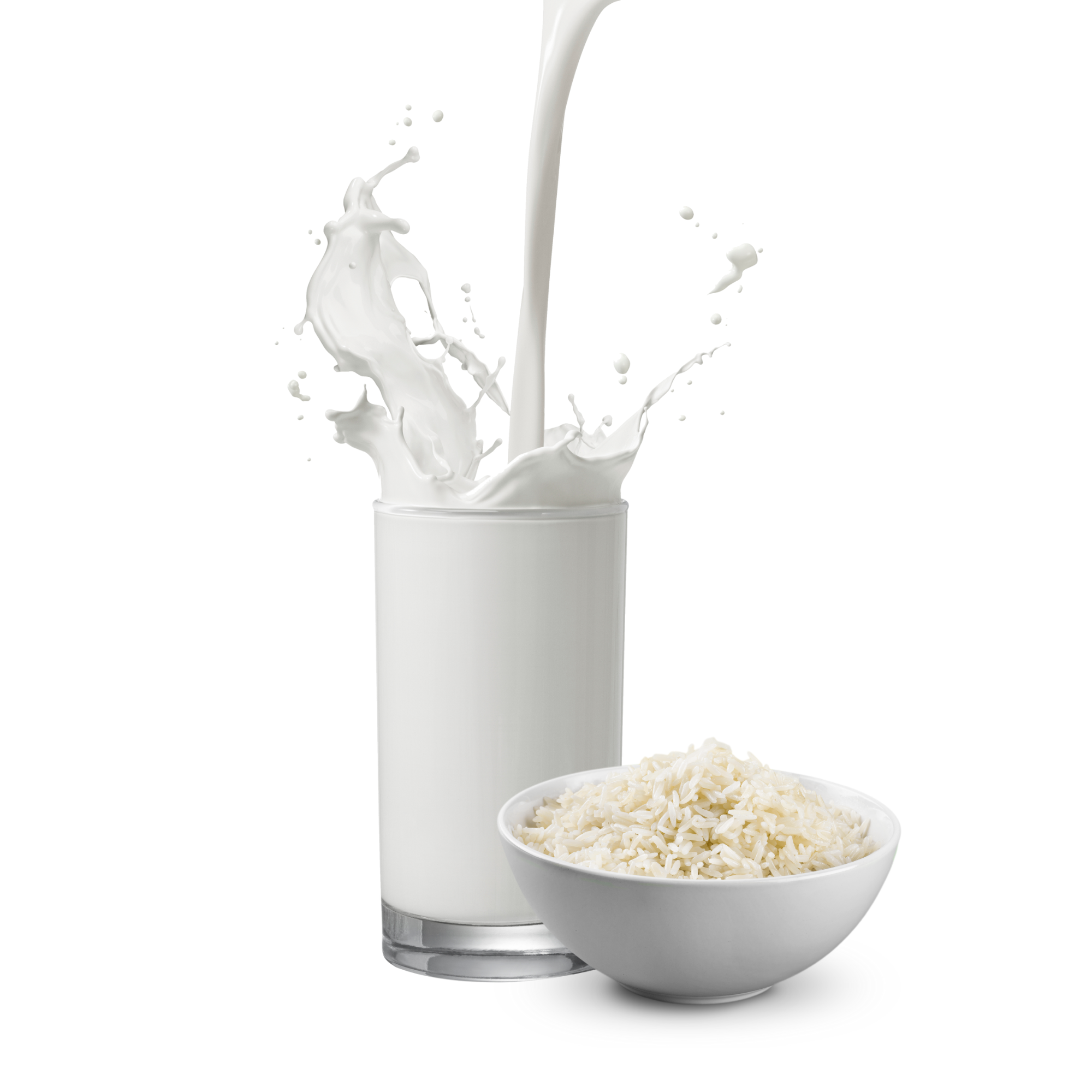 Rice Milk Concentrate (OOO)