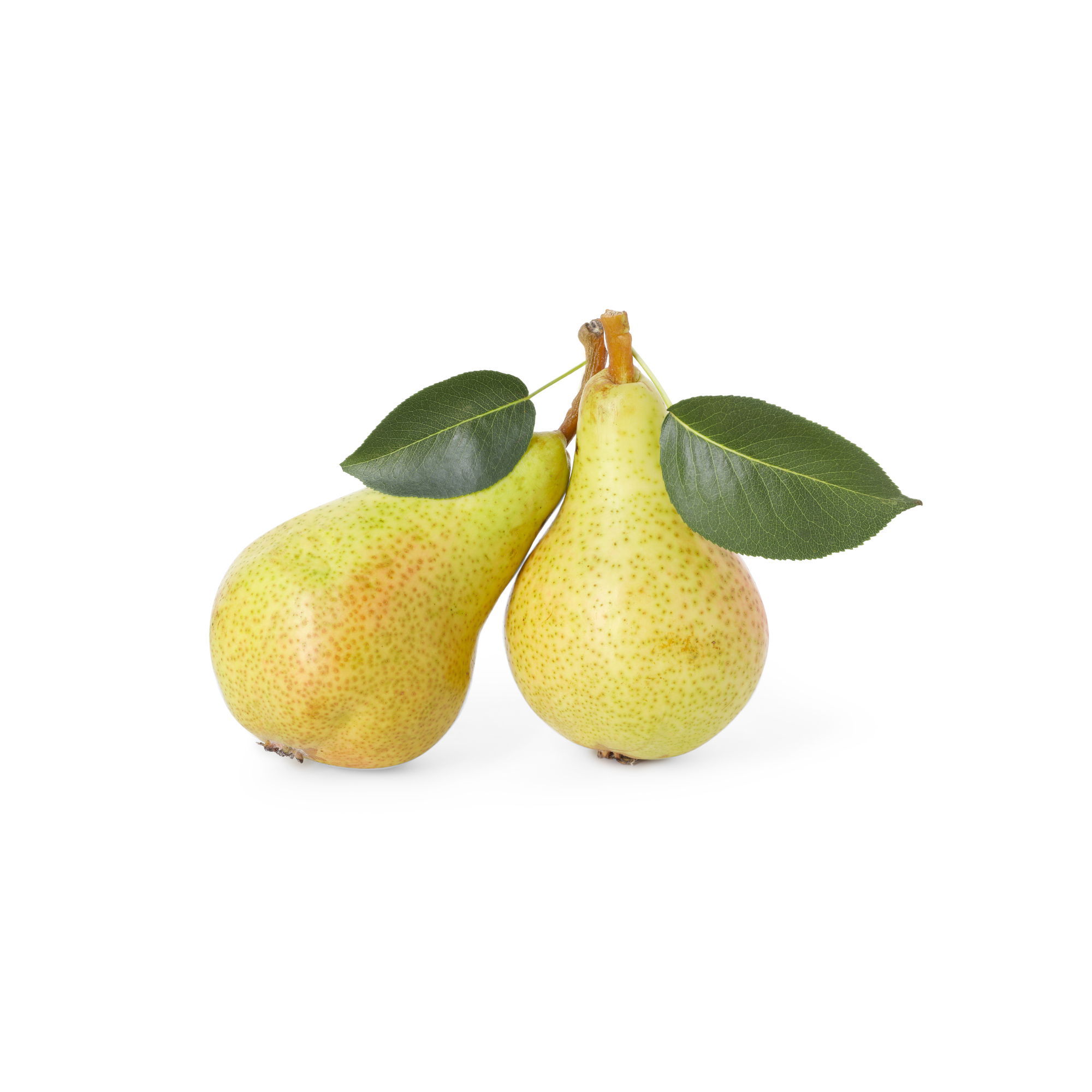 Ripe Pear Concentrate (SSA/SUPA)