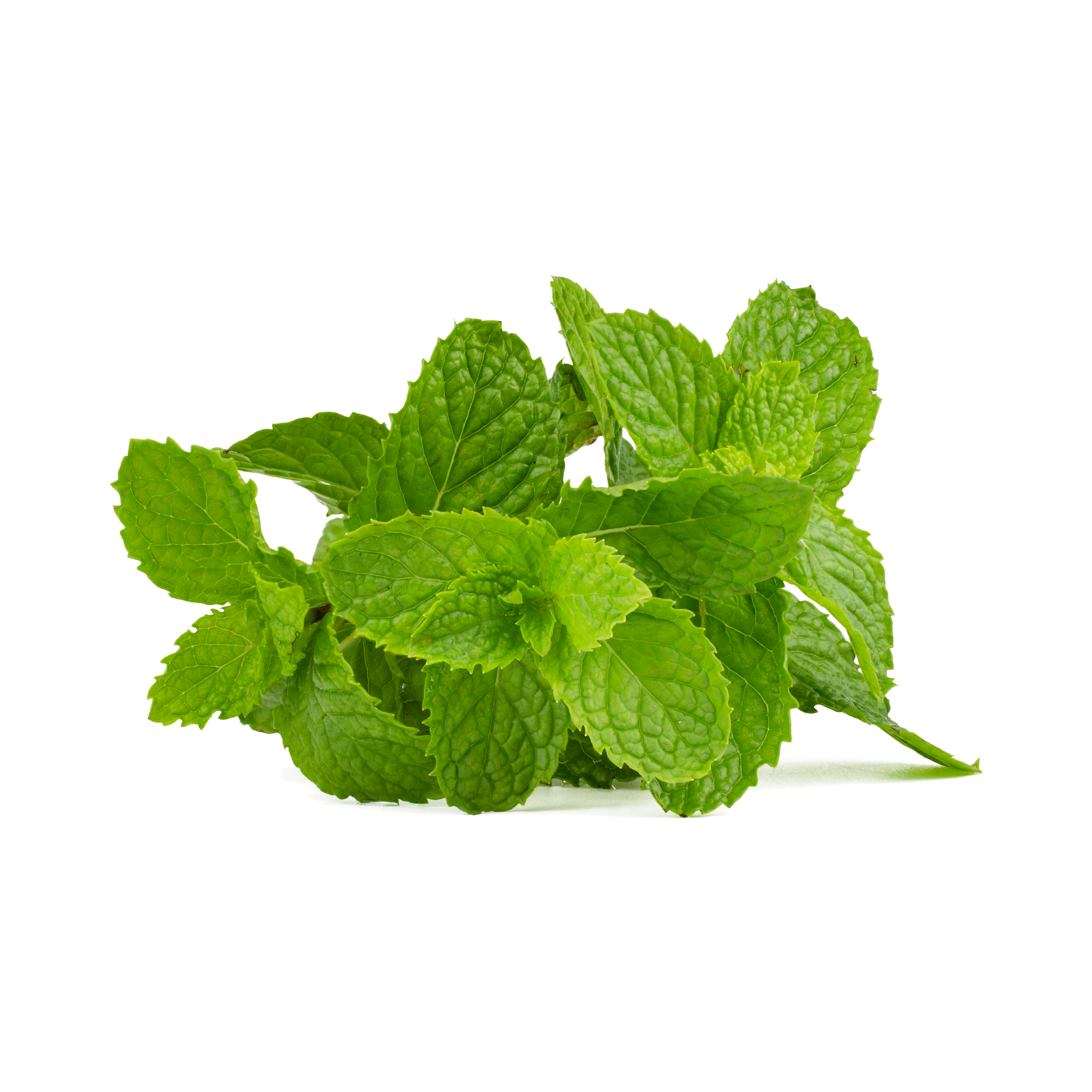 Spearmint Concentrate (TFA)