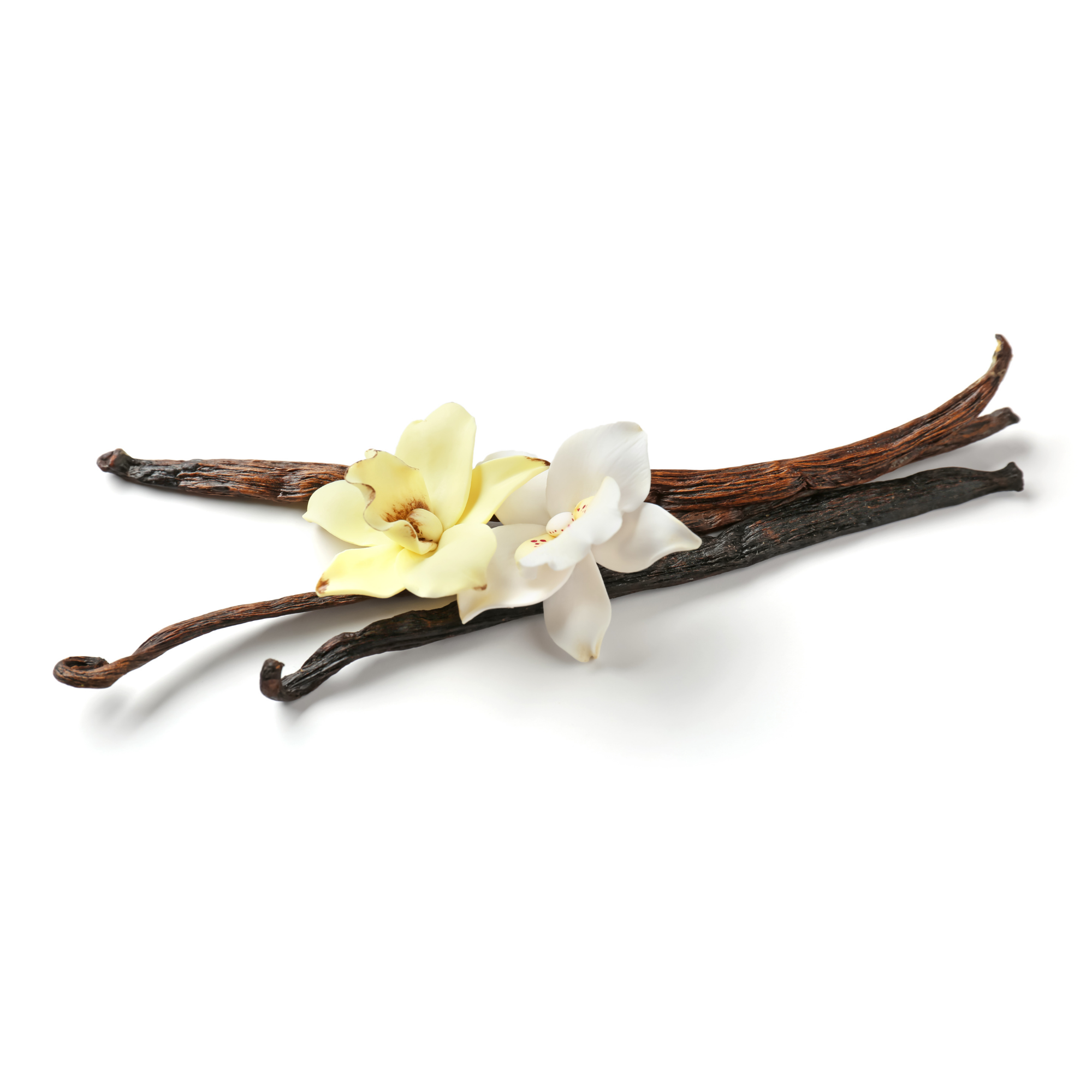Vanilla (Wanilla) Concentrate (INW)