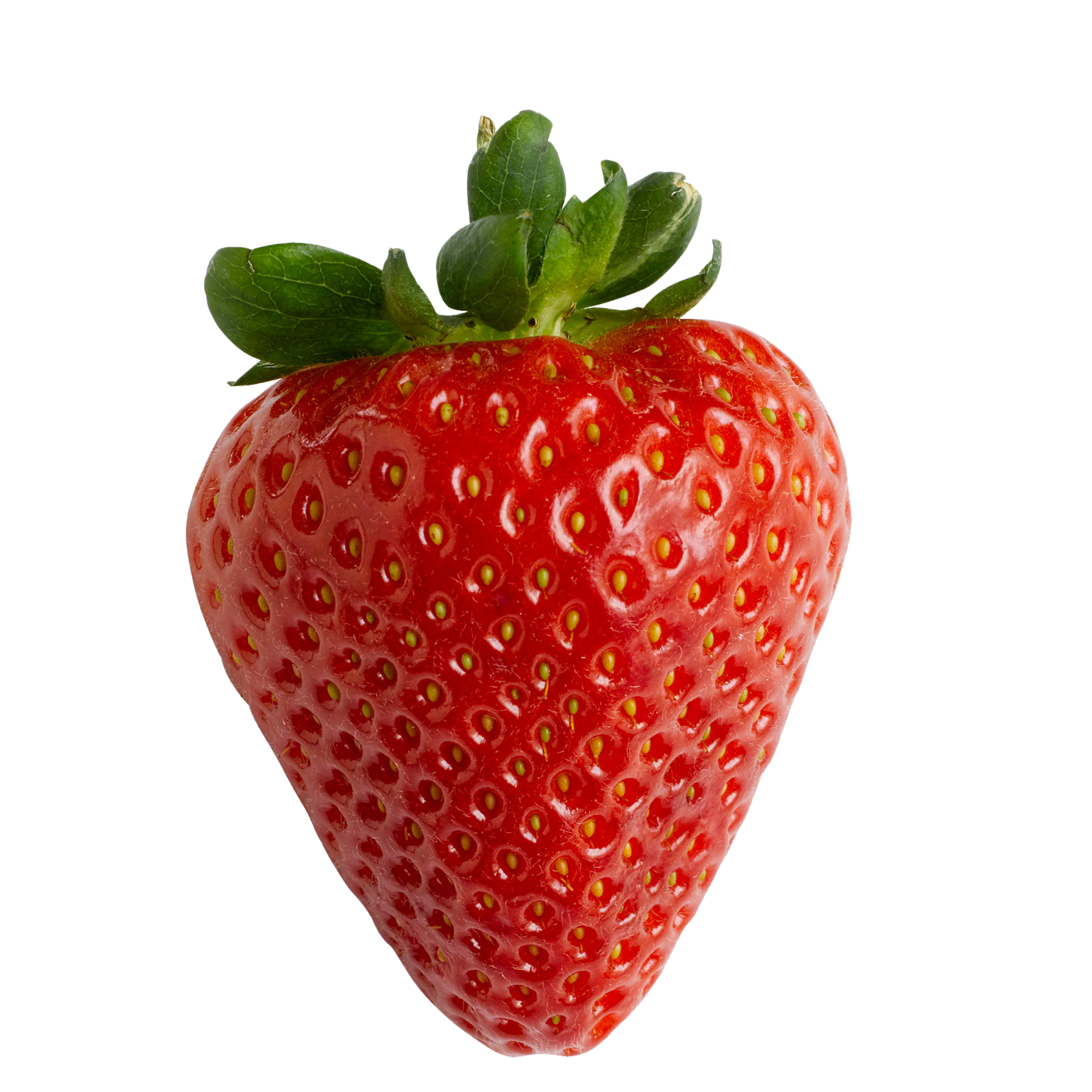 Wild Strawberry Concentrate (Inw)