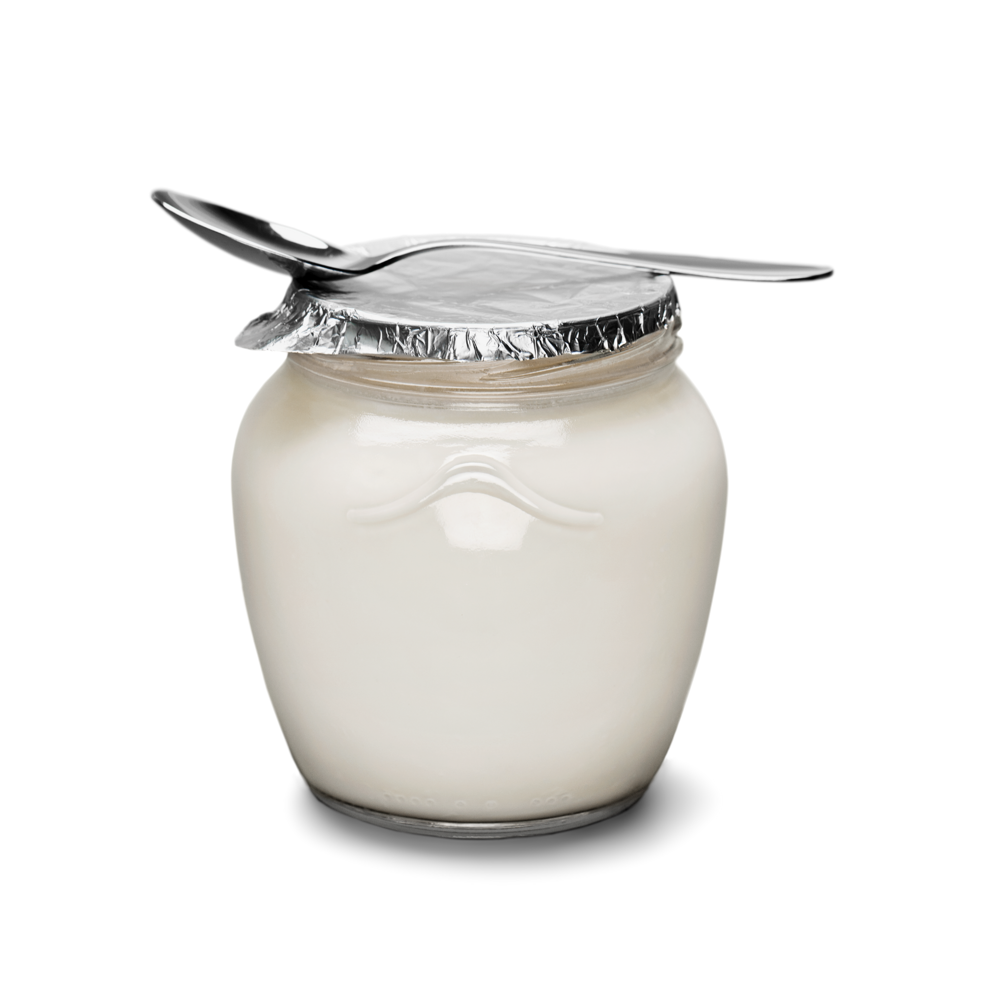 Yogurt Concentrate (YY)
