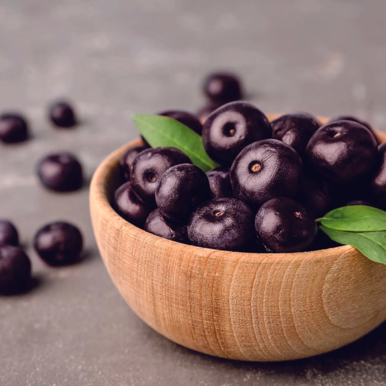 Bowl of blackberries