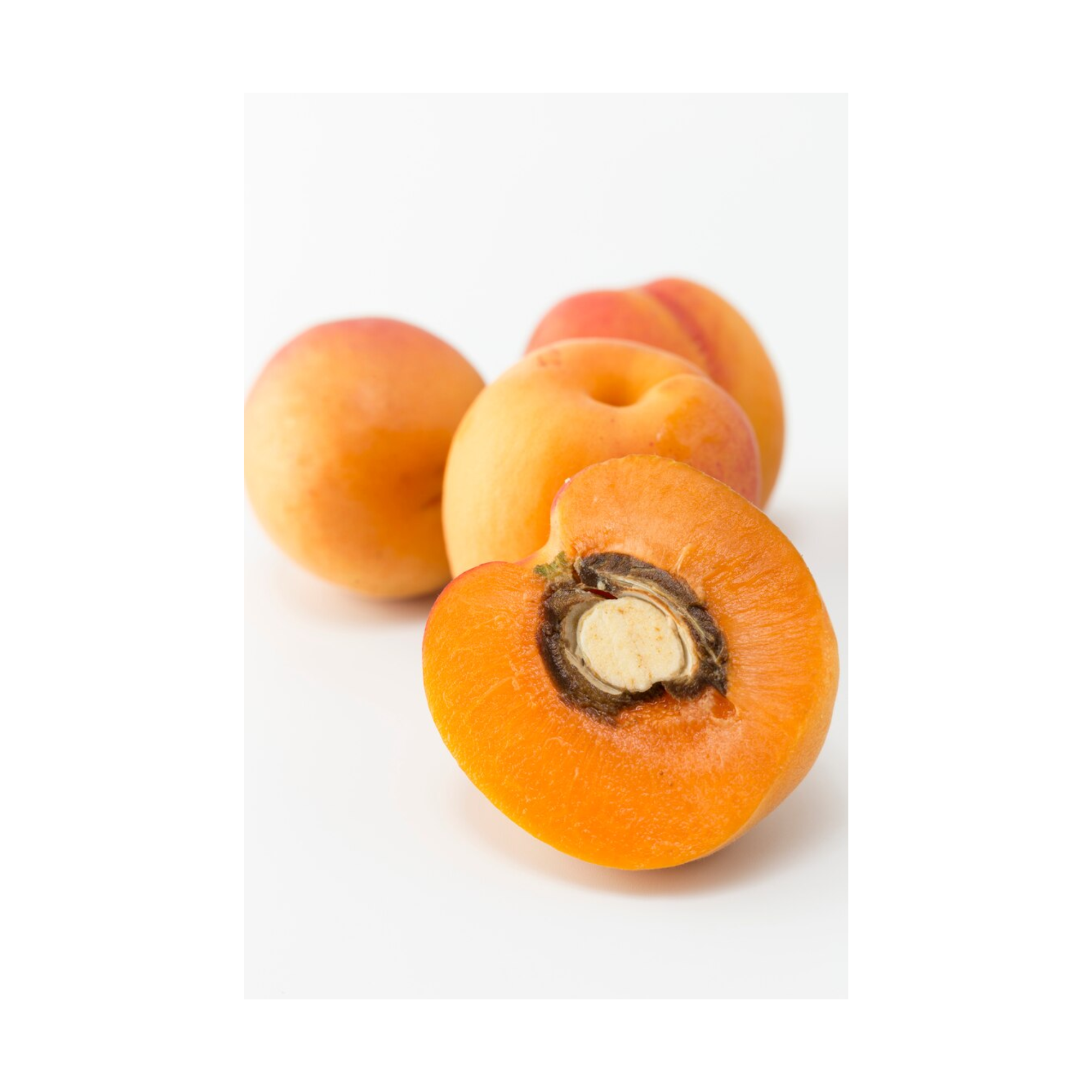 Armenia Apricot Concentrate (FA)