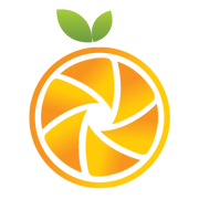 BLCK Flavour logo