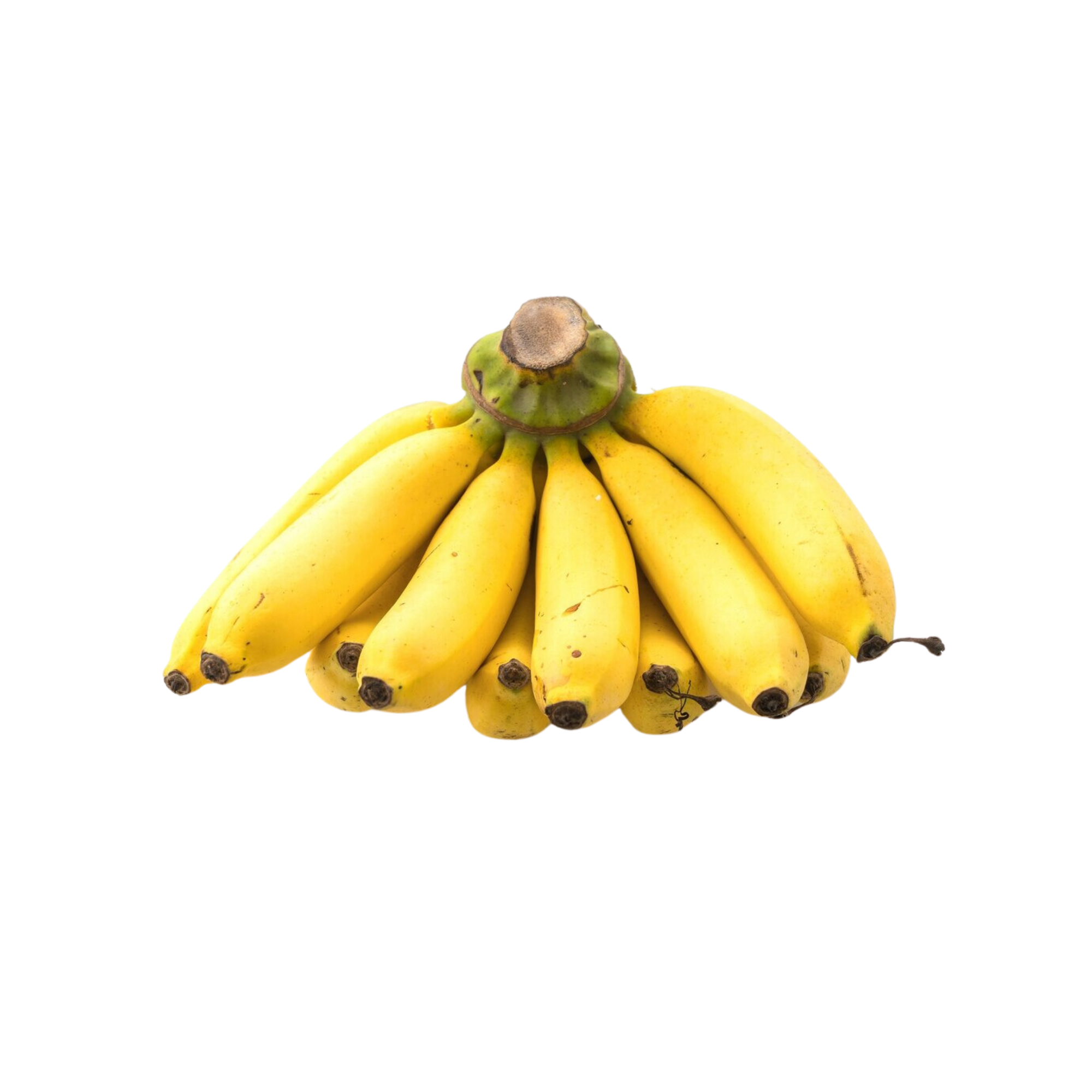 Banana Concentrate (FA)