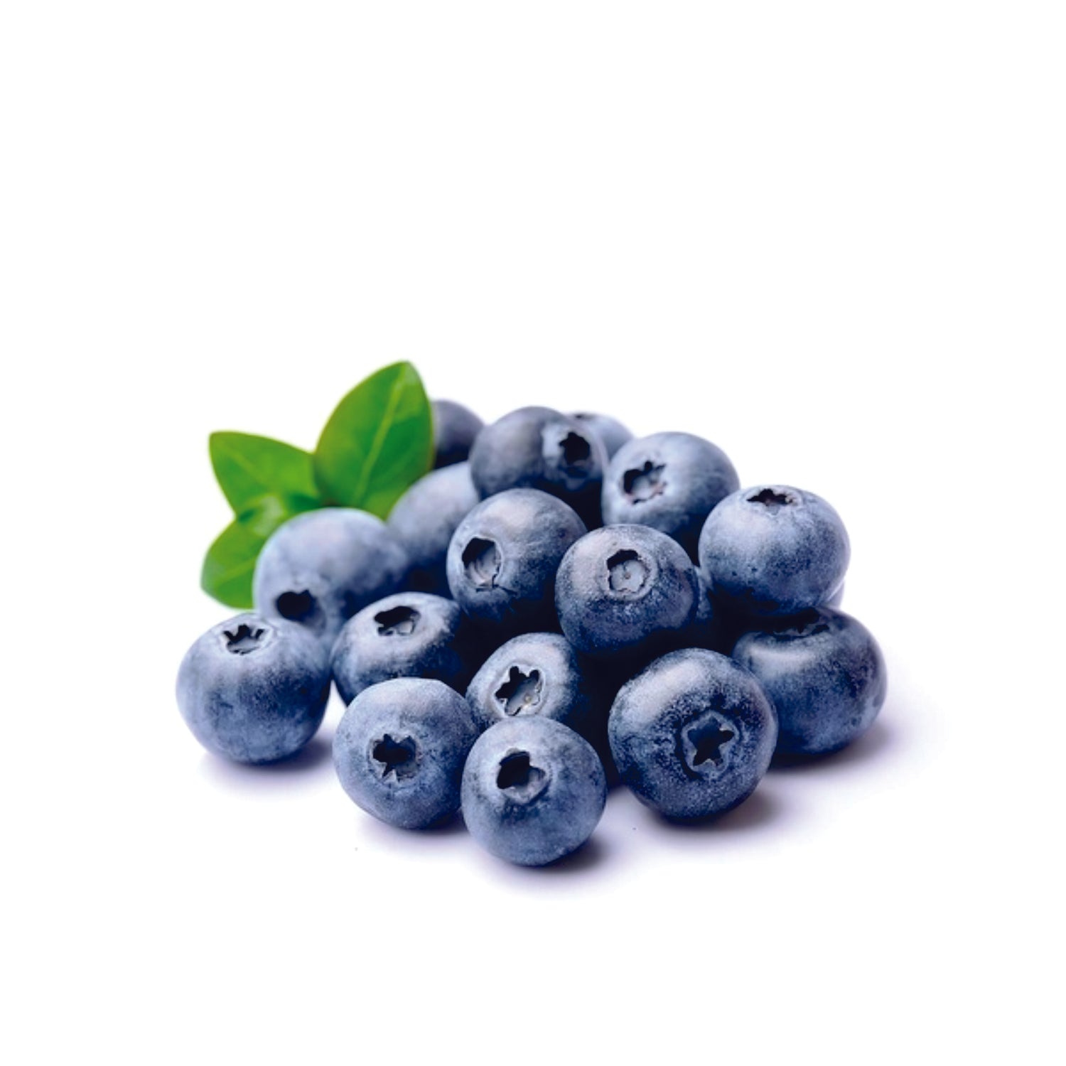 Blueberry (Extra) Flavor Concentrate (TFA)