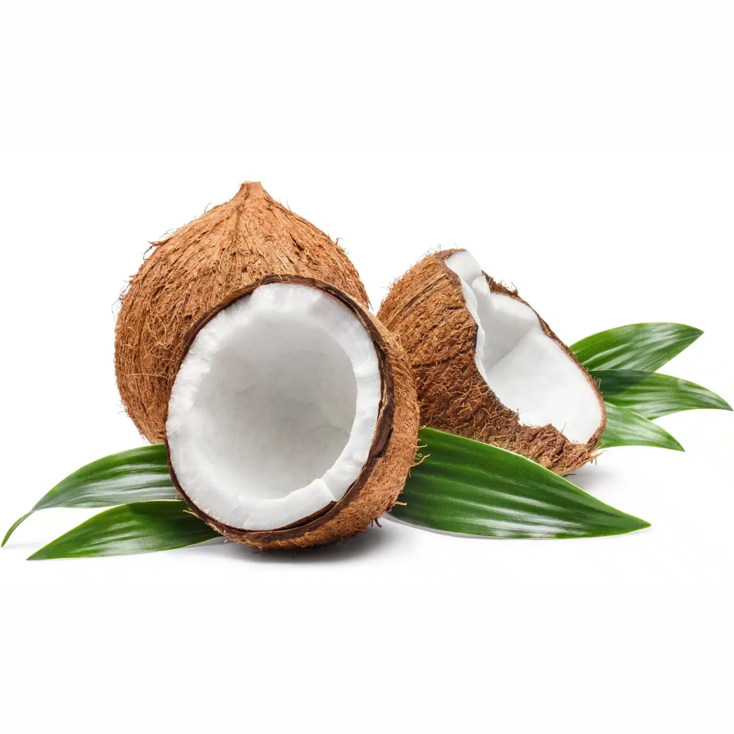 Coconut** Concentrate (FLV)