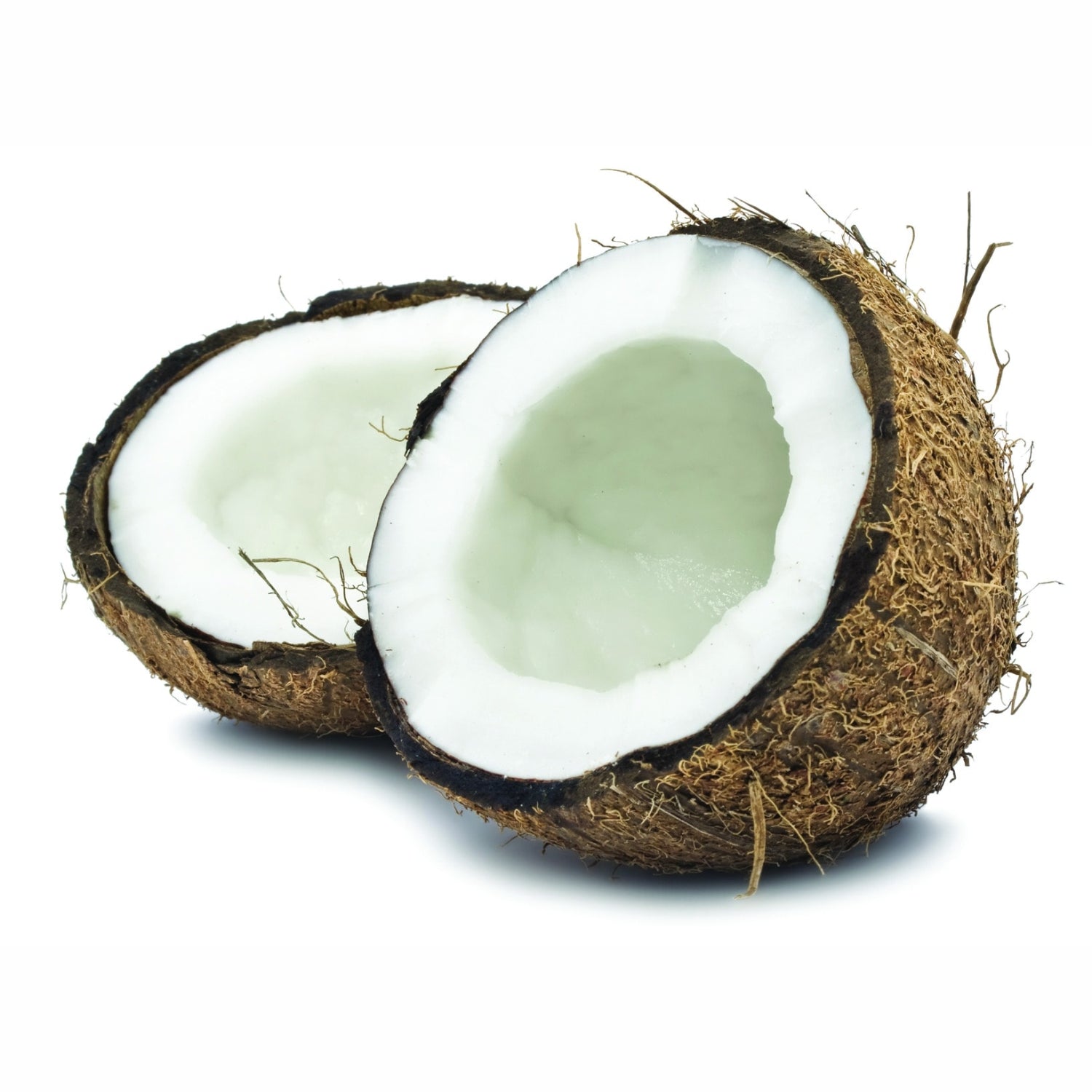 Coconut Extra Flavor Concentrate (TFA)