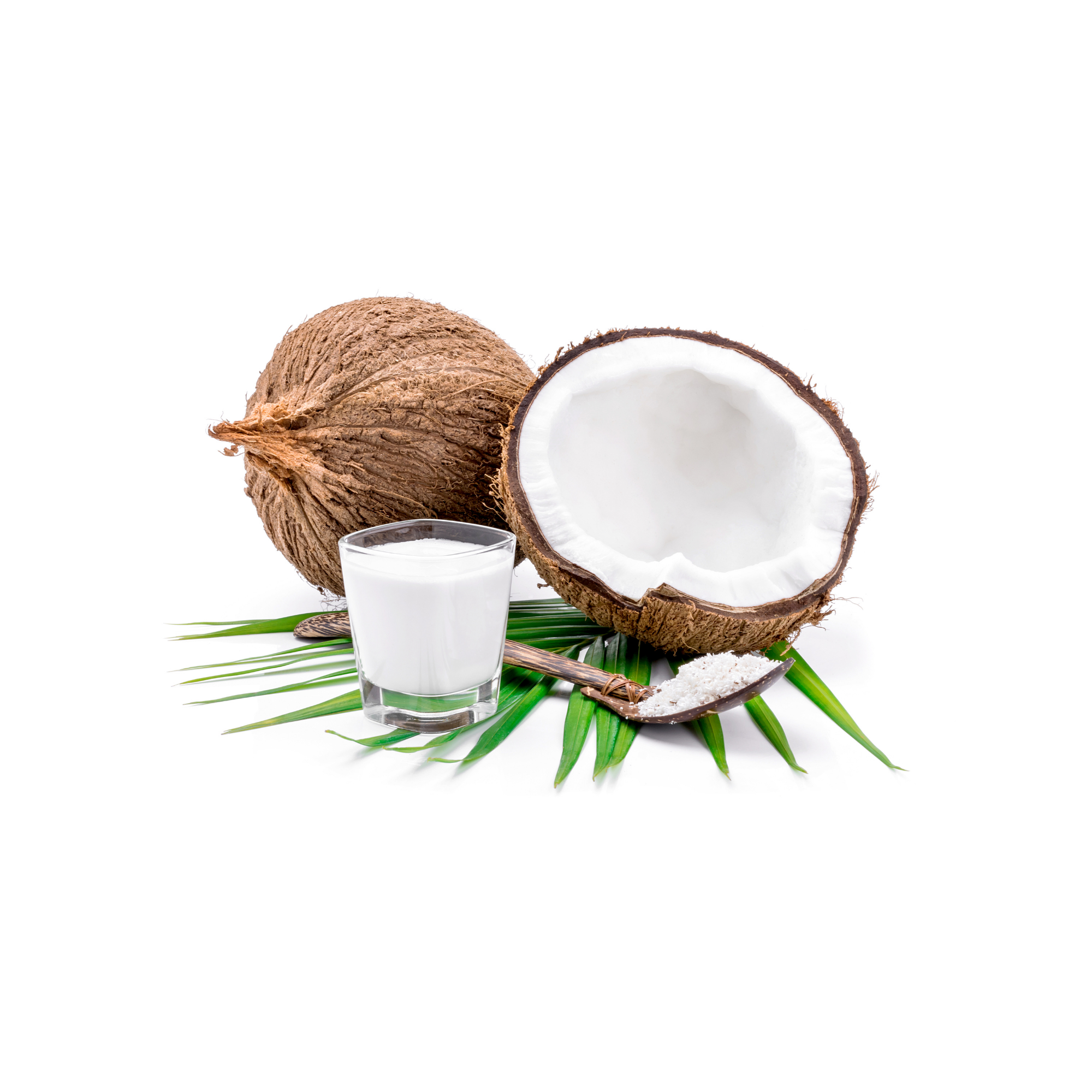 Coconut Milk Concentrate (LB)