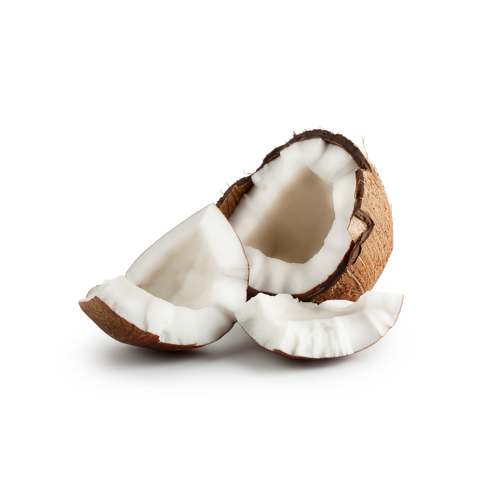 Coconut Custard Concentrate SC (WF)