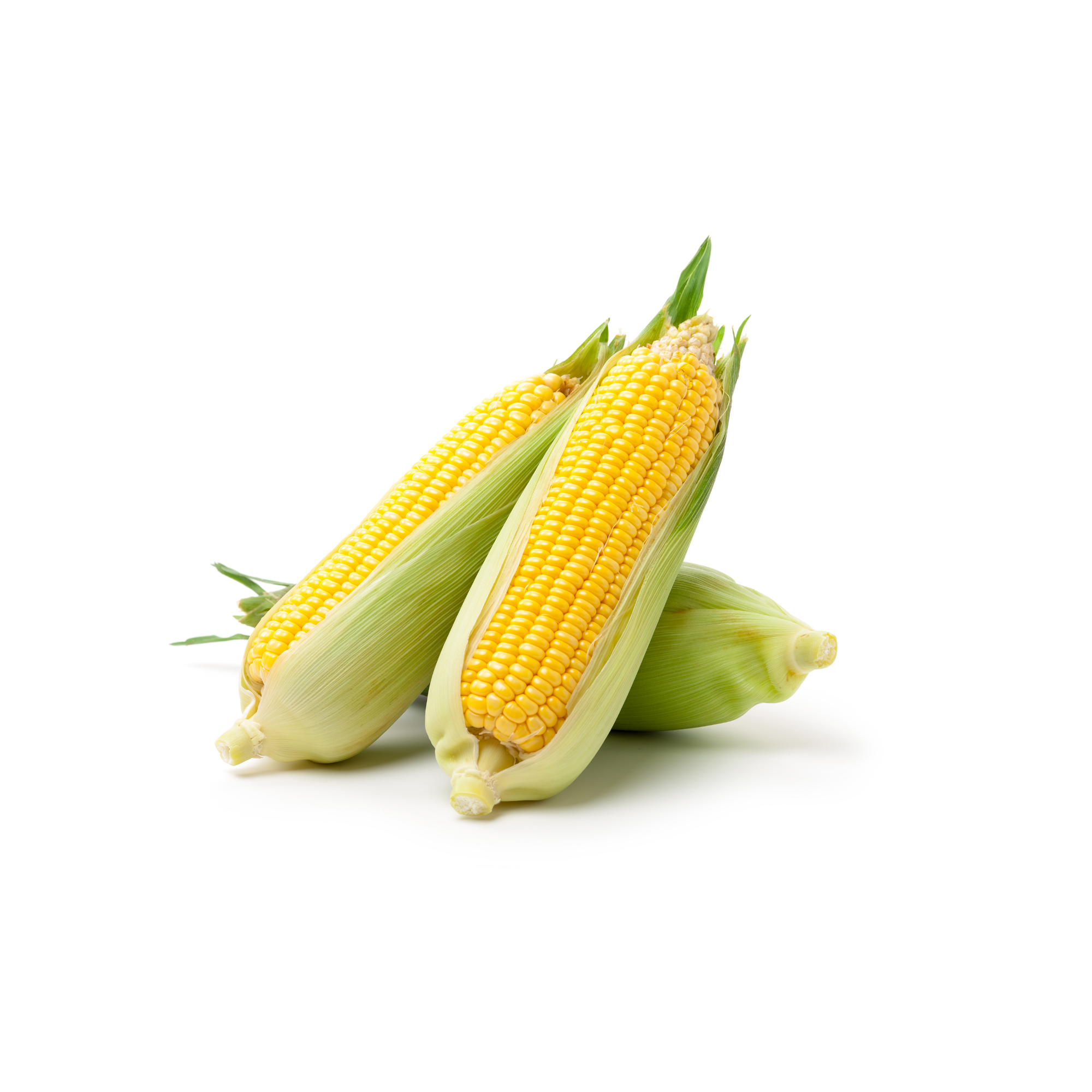 Corn Concentrate (FA)