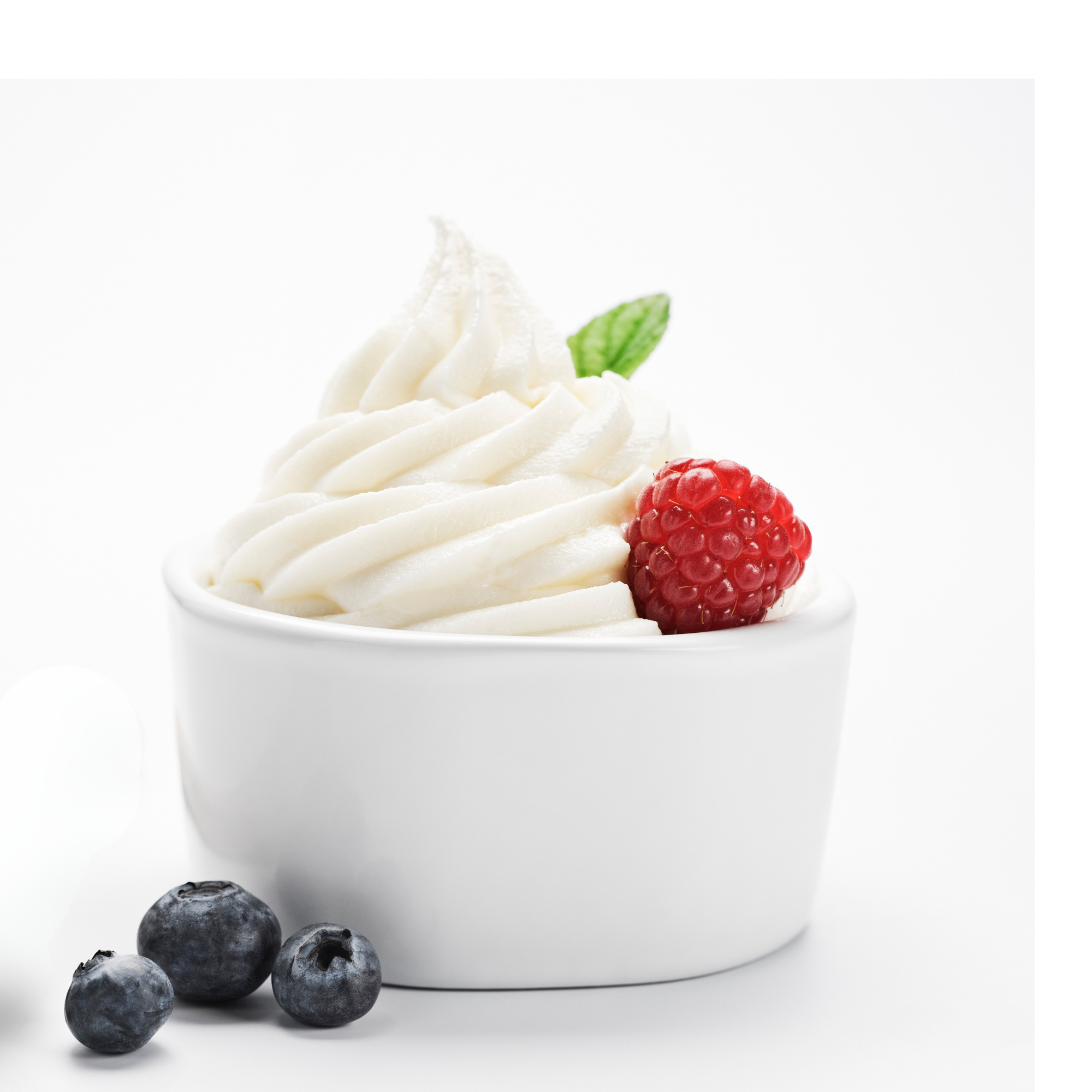 Frozen Yogurt Concentrate SC (WF)