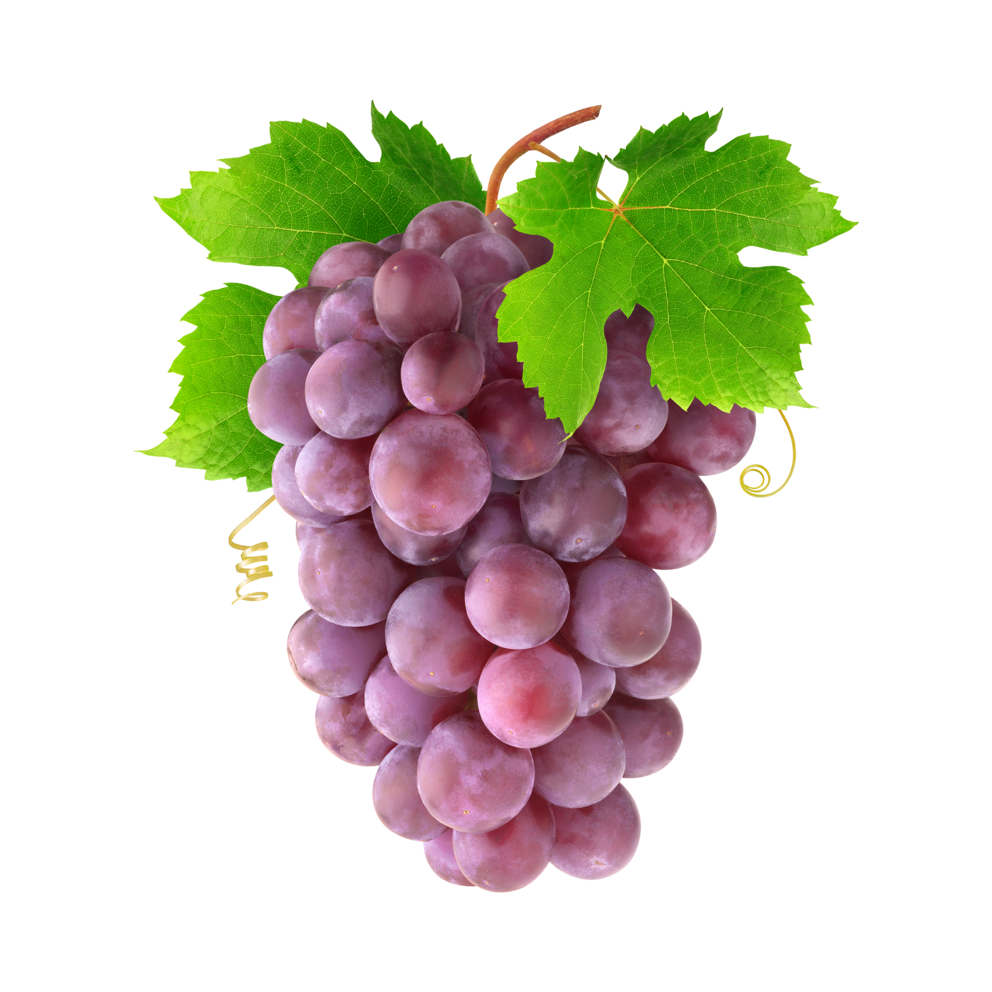 Grape (FE)