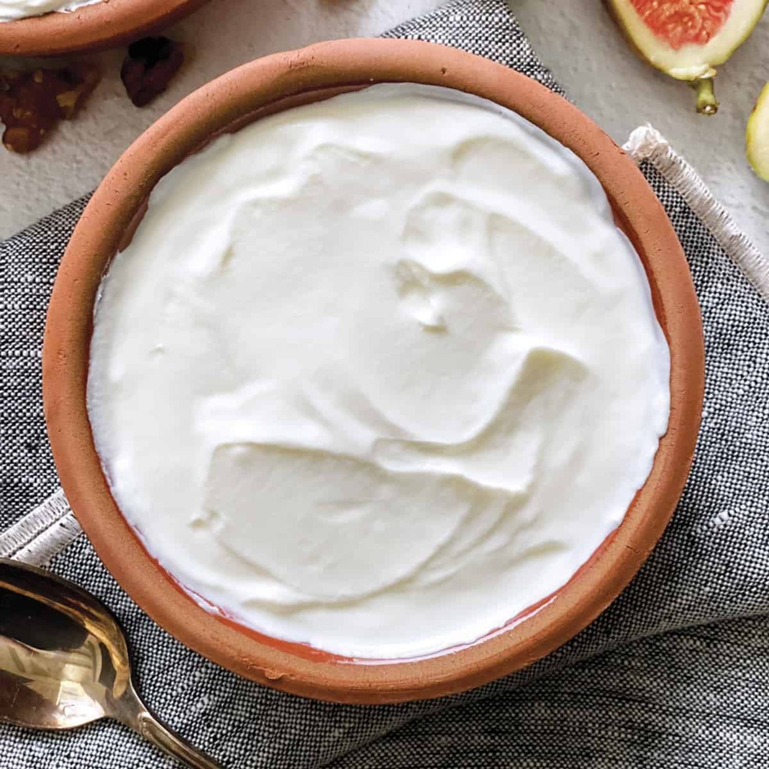 Greek Yogurt Concentrate (TFA)