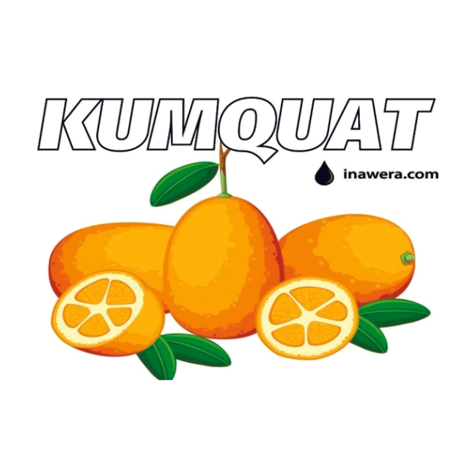 Kumquat Concentrate (INW)