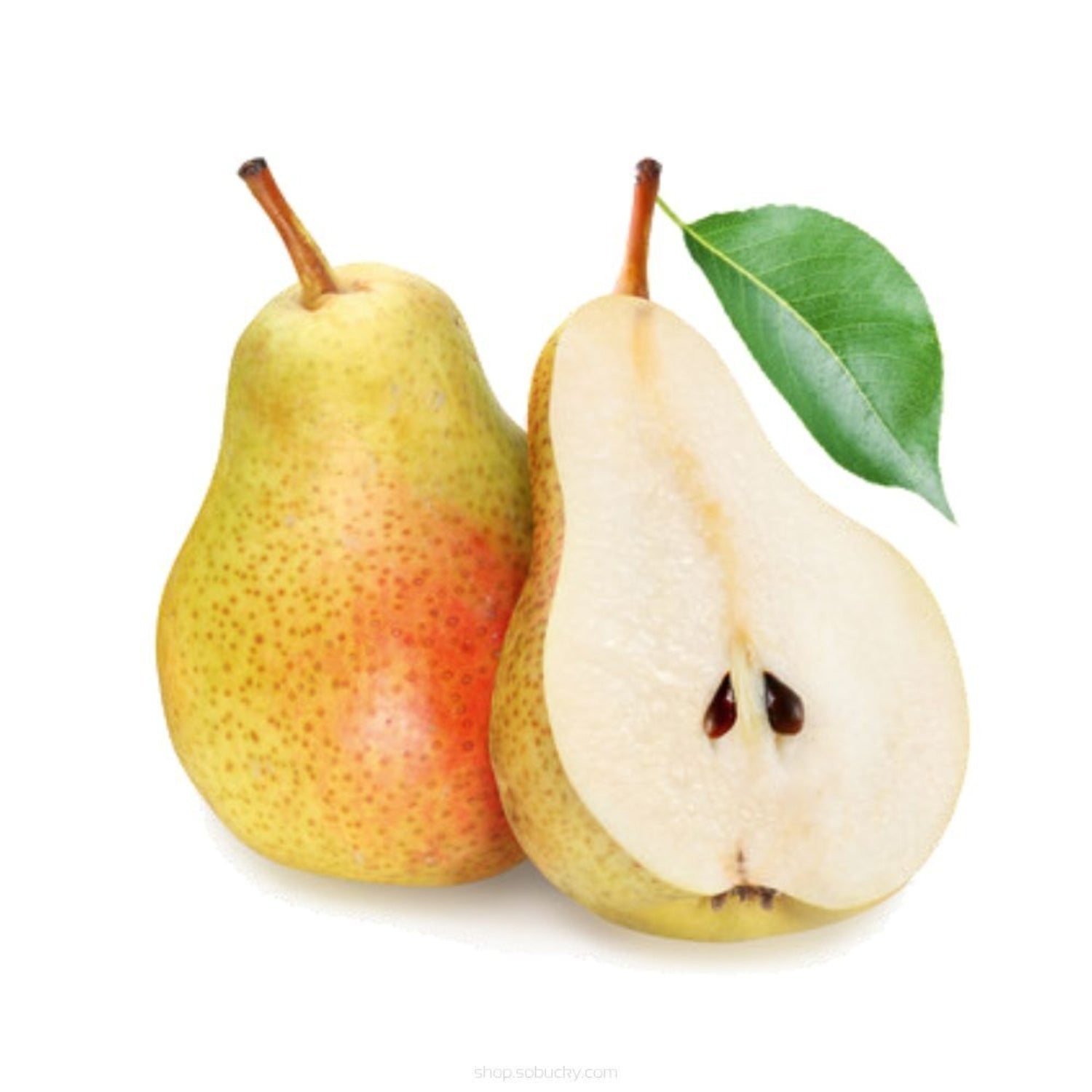 Shape Up Pear Concentrate (MB)