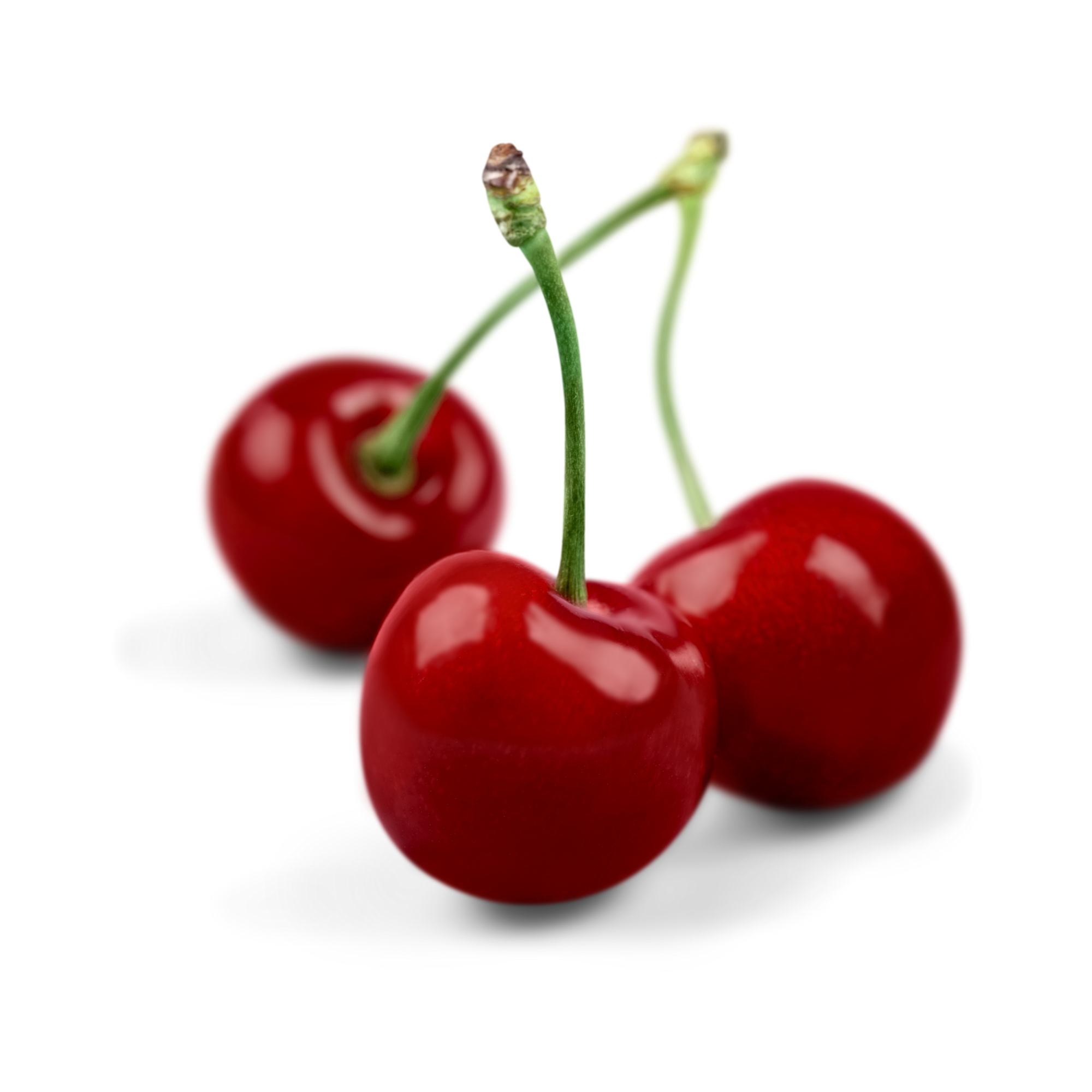 Compote Cherry Concentrate (SSA/SUPA)