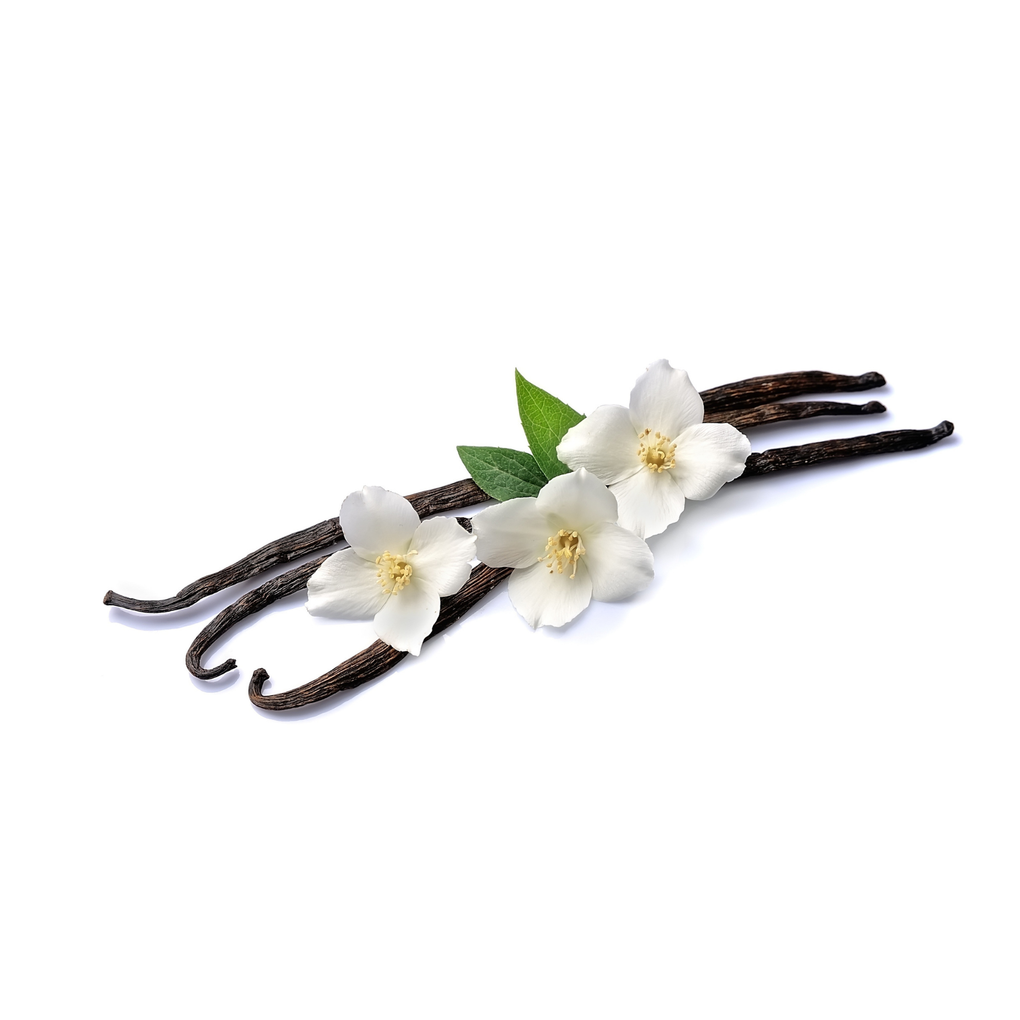 Vanilla Shisha Type Concentrate (INW)