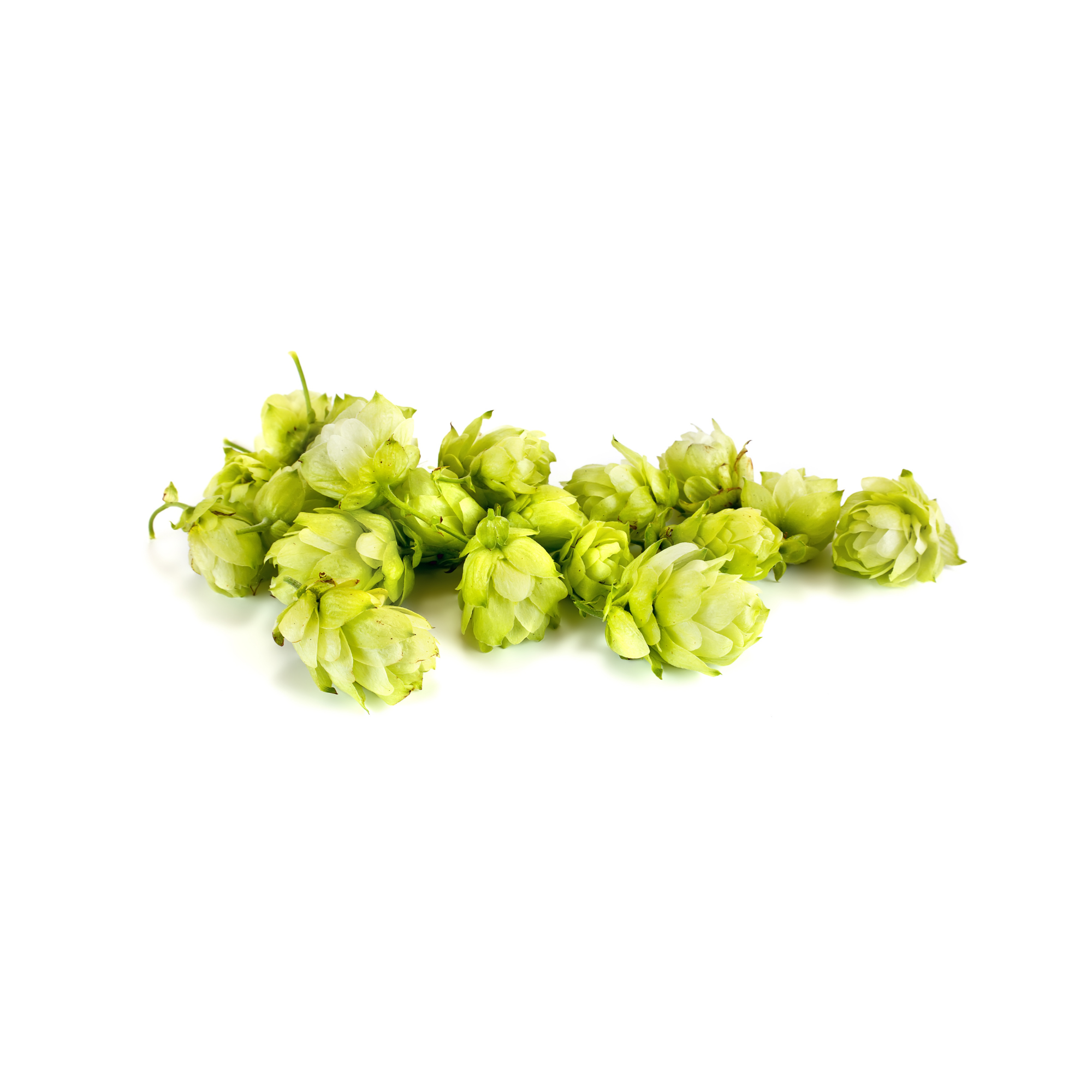 Yakima Hops Concentrate (FLV)