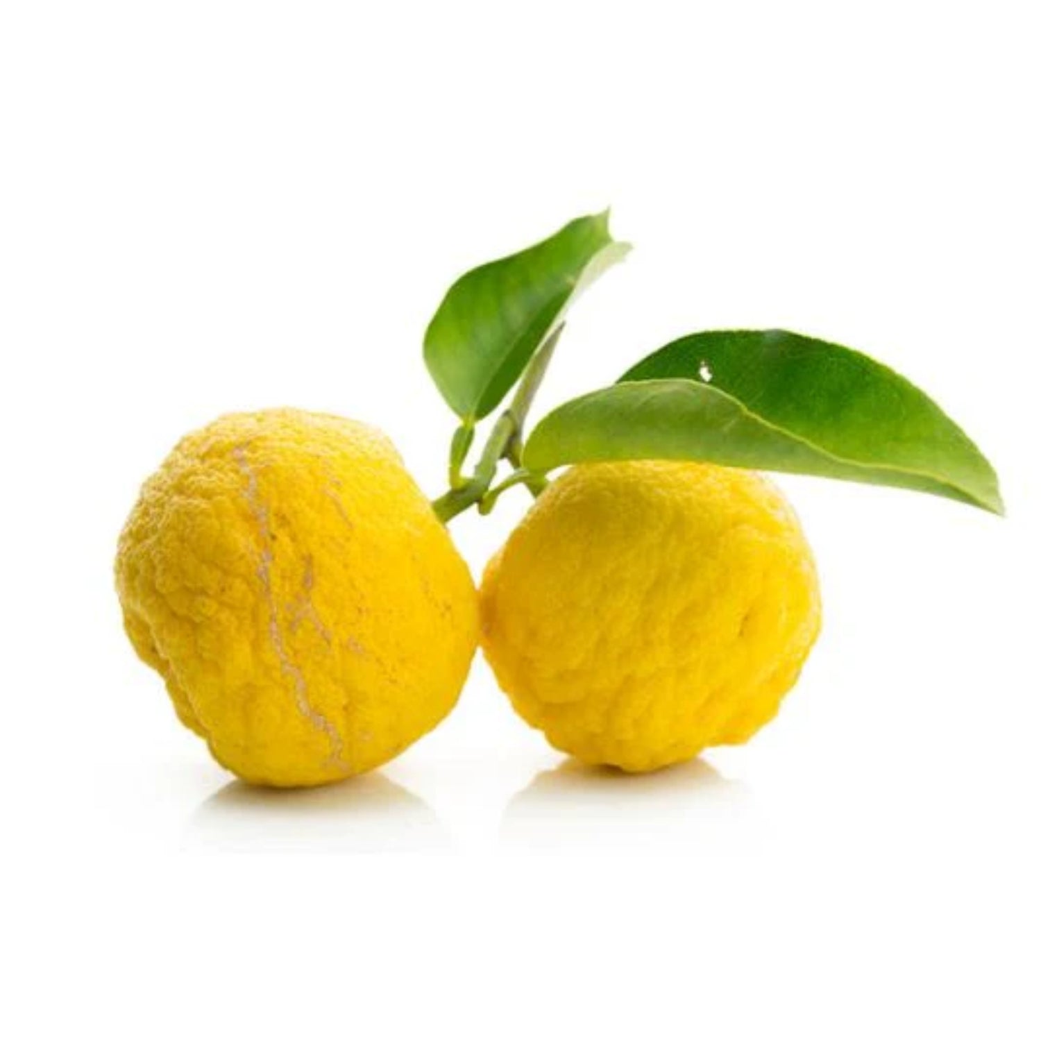 Yuzu (Citrus Junos) Concentrate (SSA/SUPA)