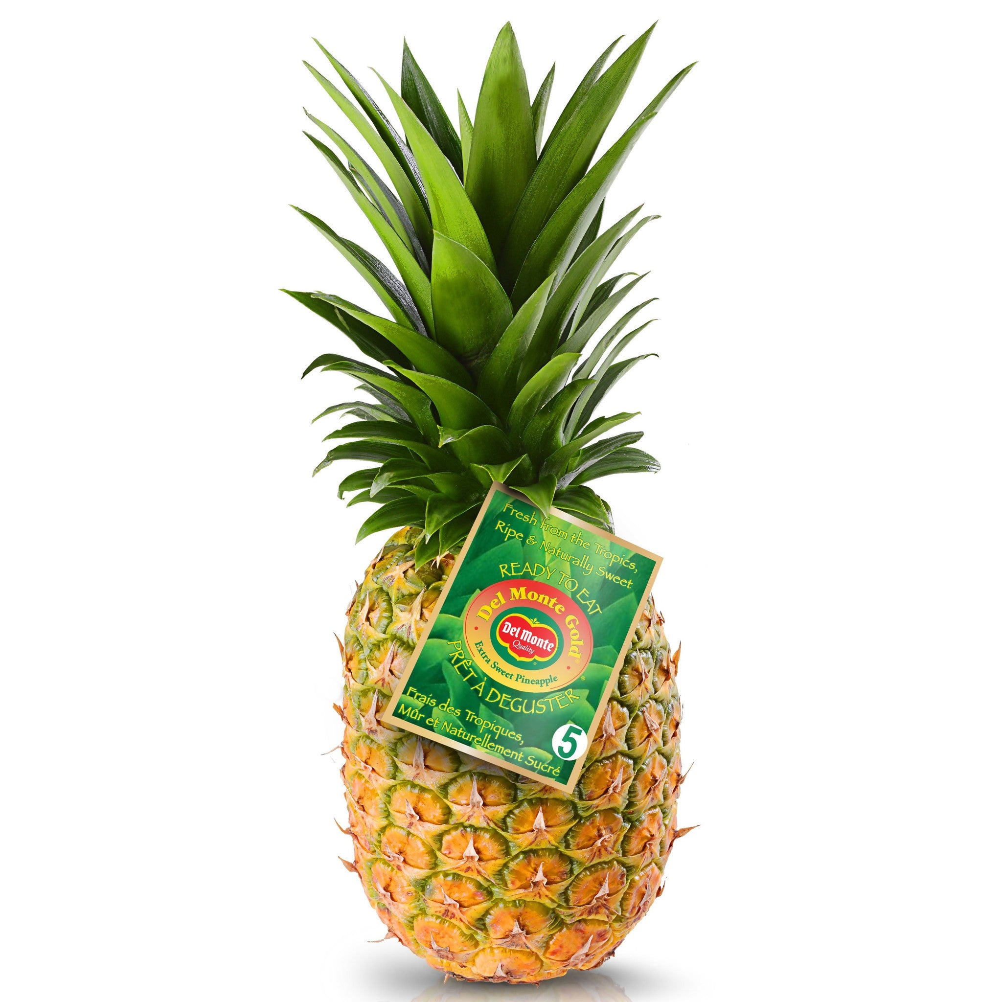 Pineapple (Costa Rica Special) Concentrate (FA)