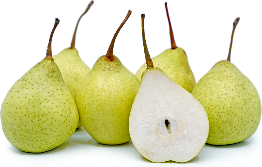 Pear Concentrate (FA)