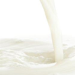 Malted Milk (Conc) Concentrate (TFA) - Blck vapour