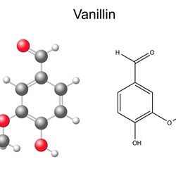 Vanillin 10 Concentrate (TFA) - Blck vapour