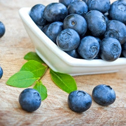 Blueberry Wild Flavor Concentrate (TFA) - Blck vapour
