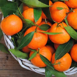 Orange Mandarin Flavor Concentrate (TFA) - Blck vapour