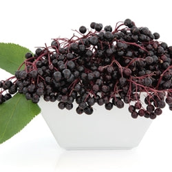Elderberry Concentrate (TFA)