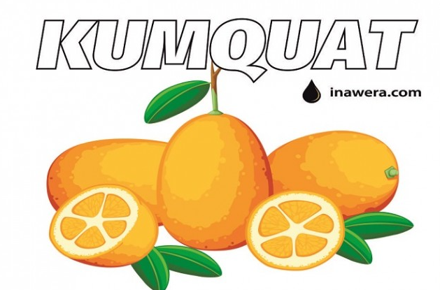 Kumquat Concentrate (INW)