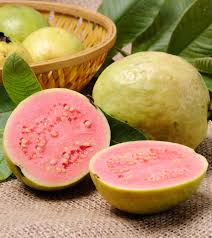 Guava Concentrate (SSA/SUPA)