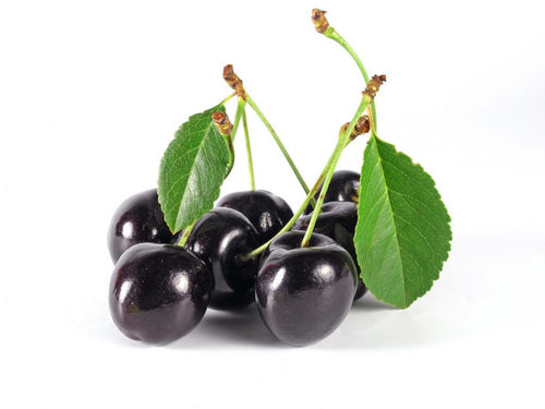 Black Cherry Concentrate (FA)