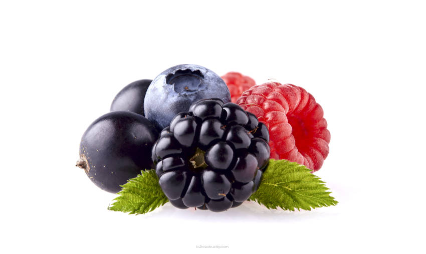 Scandinavian Fruits Concentrate (SSA/SUPA)